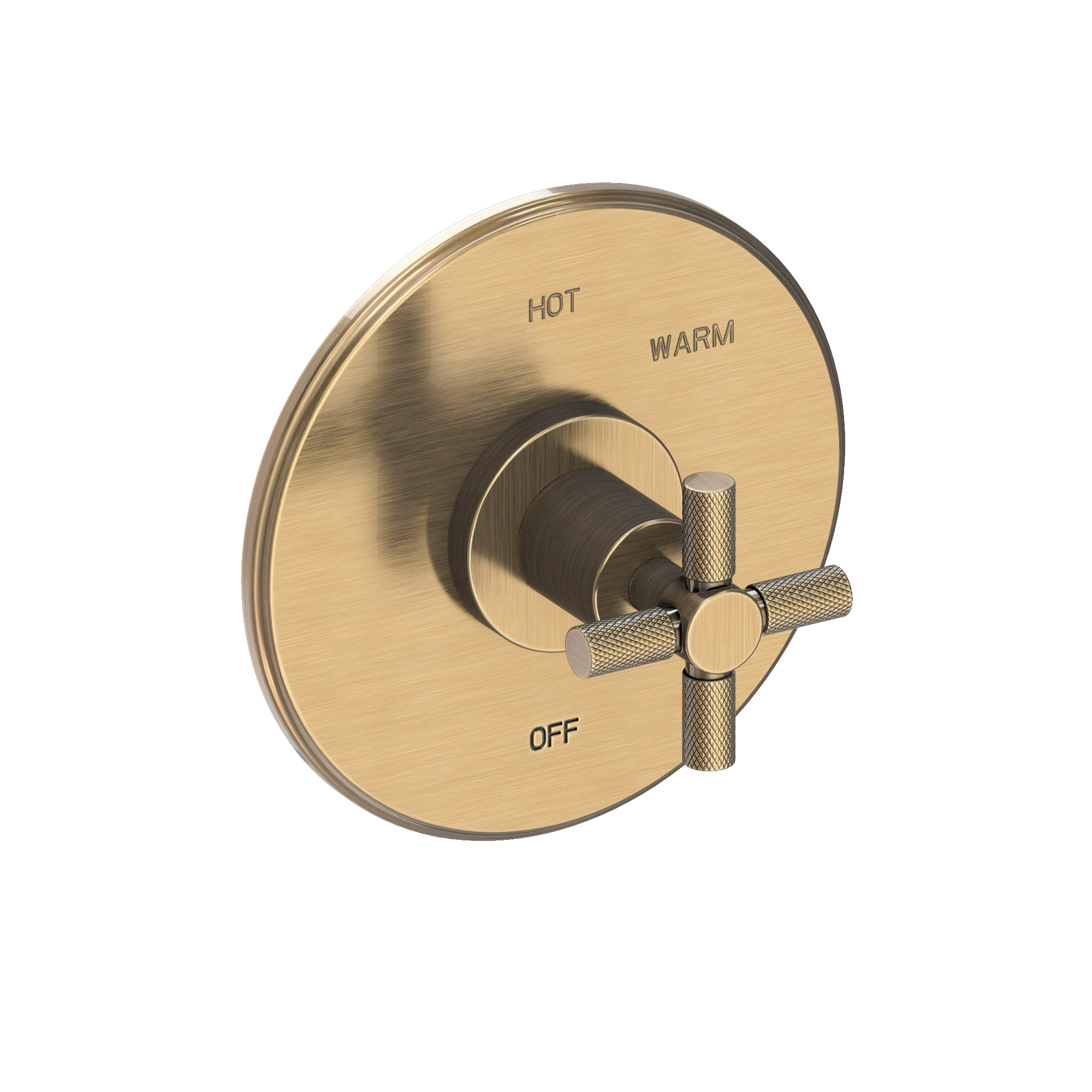 Newport Brass Muncy Balanced Pressure Shower Trim Plate with Handle