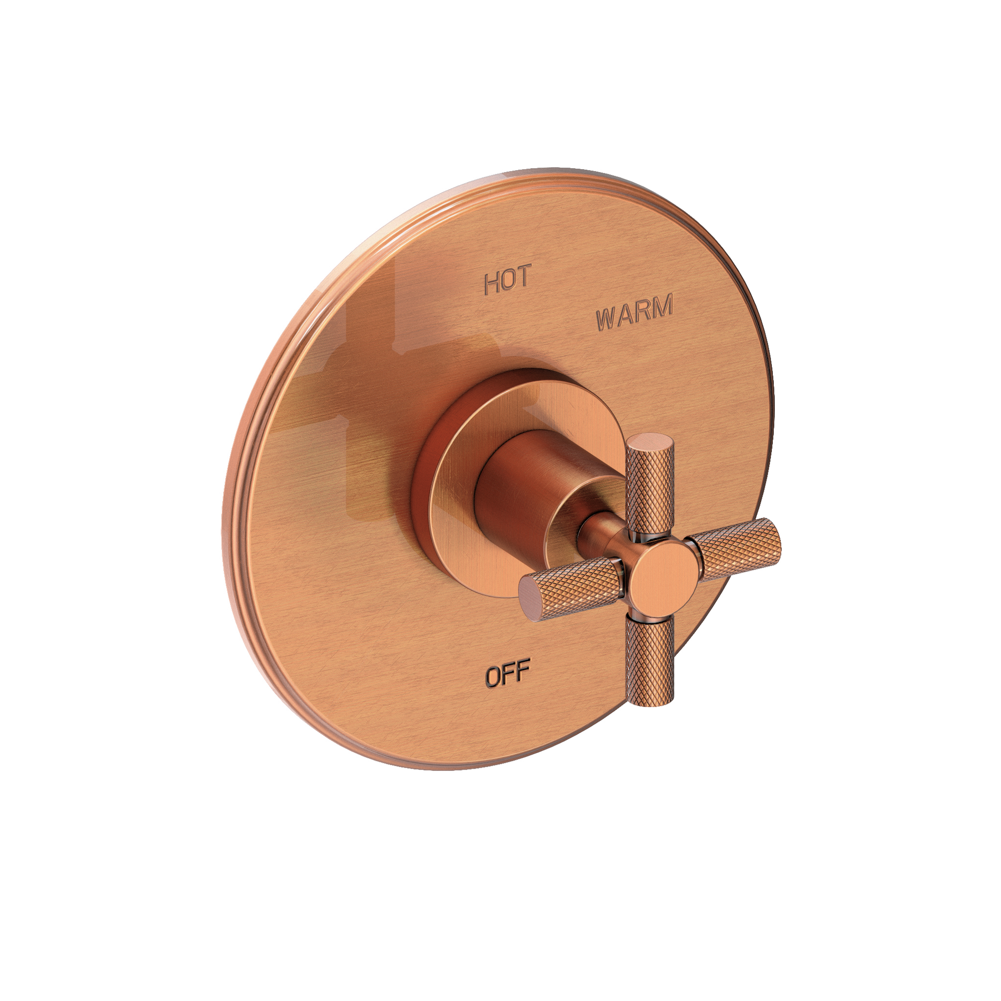 Newport Brass Muncy Balanced Pressure Shower Trim Plate with Handle