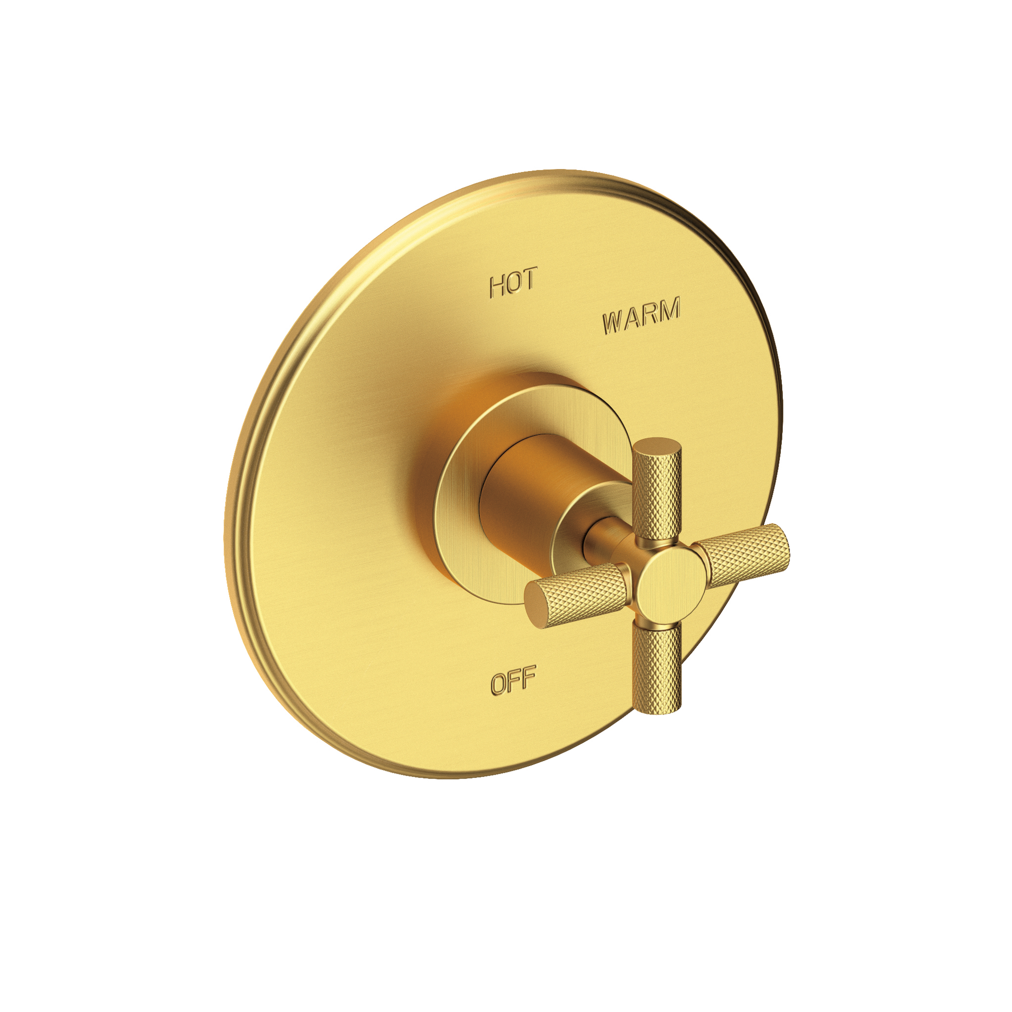 Newport Brass Muncy Balanced Pressure Shower Trim Plate with Handle
