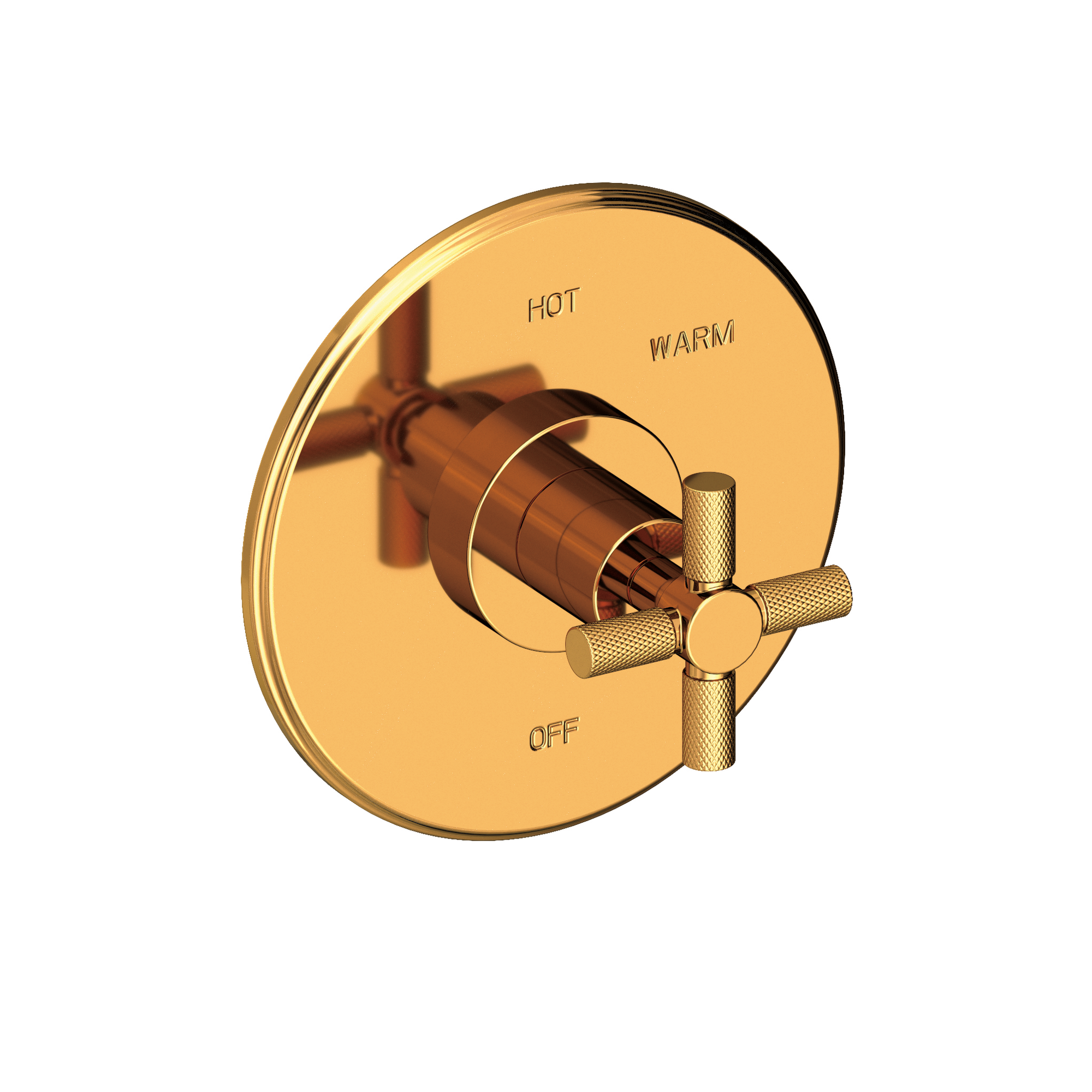 Newport Brass Muncy Balanced Pressure Shower Trim Plate with Handle