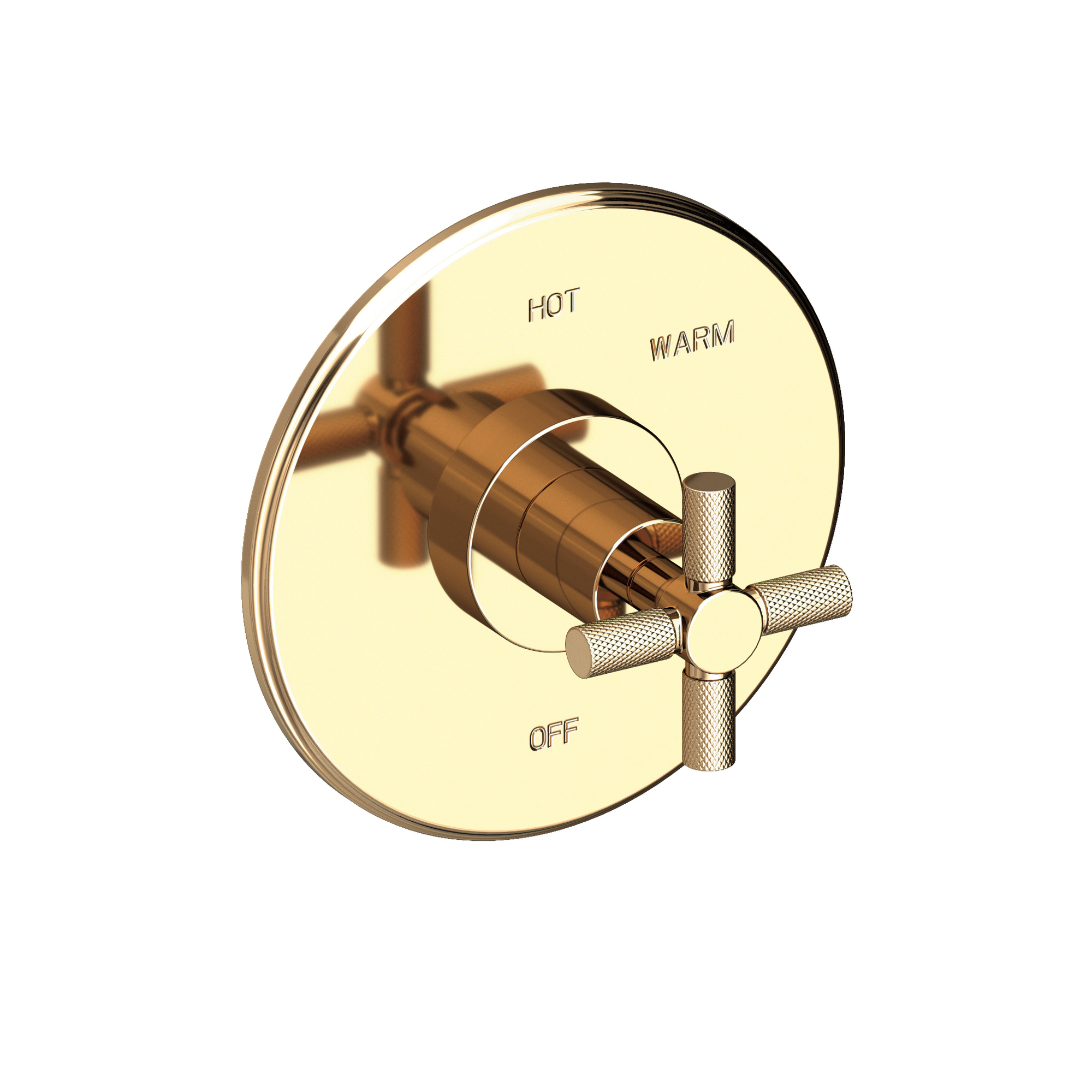 Newport Brass Muncy Balanced Pressure Shower Trim Plate with Handle