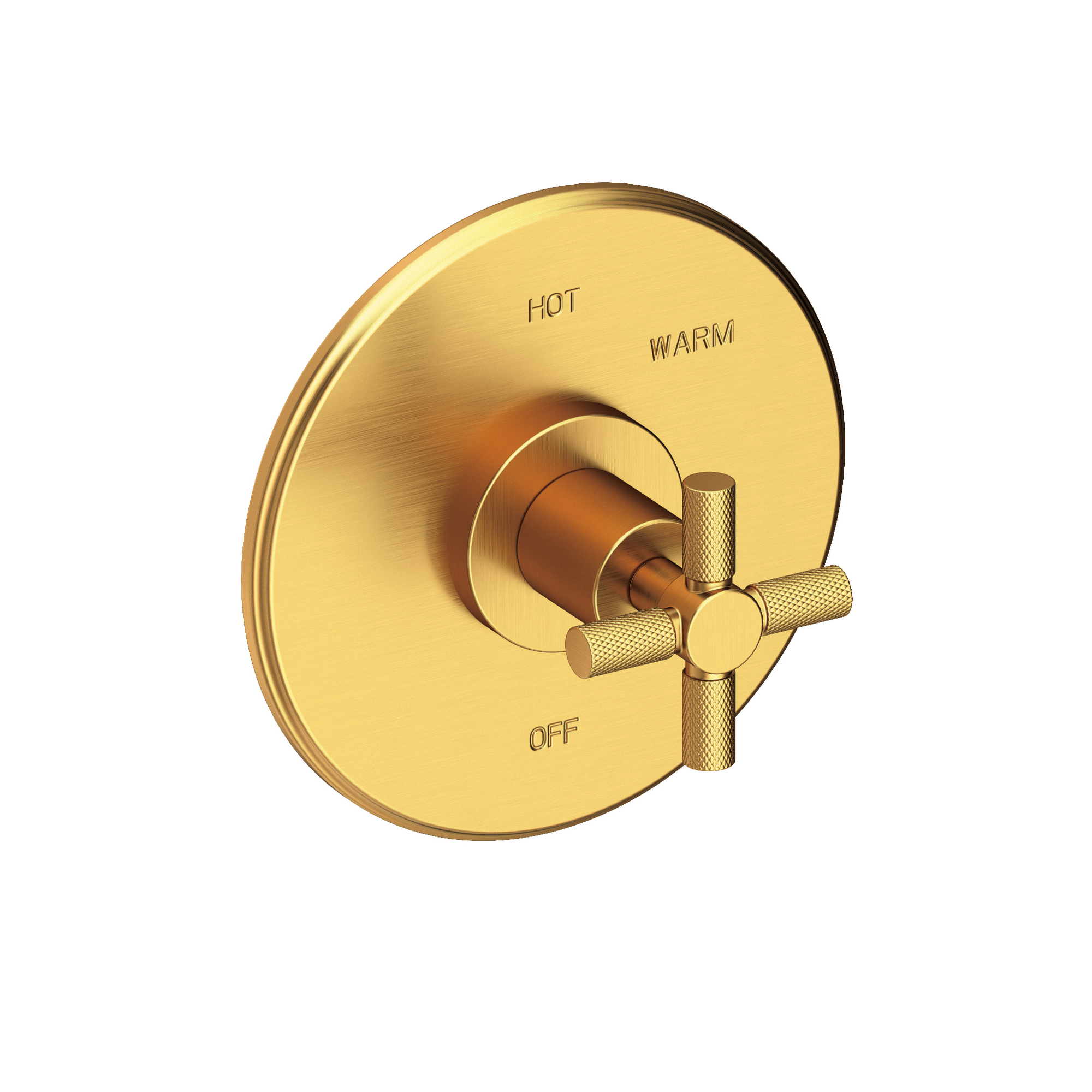Newport Brass Muncy Balanced Pressure Shower Trim Plate with Handle