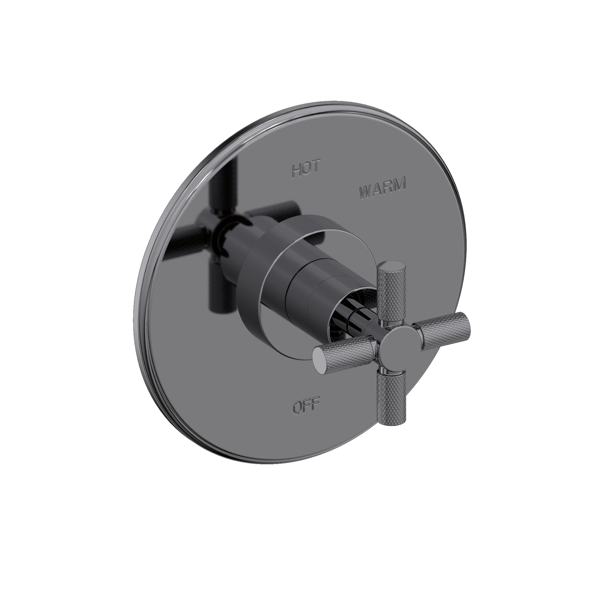 Newport Brass Muncy Balanced Pressure Shower Trim Plate with Handle