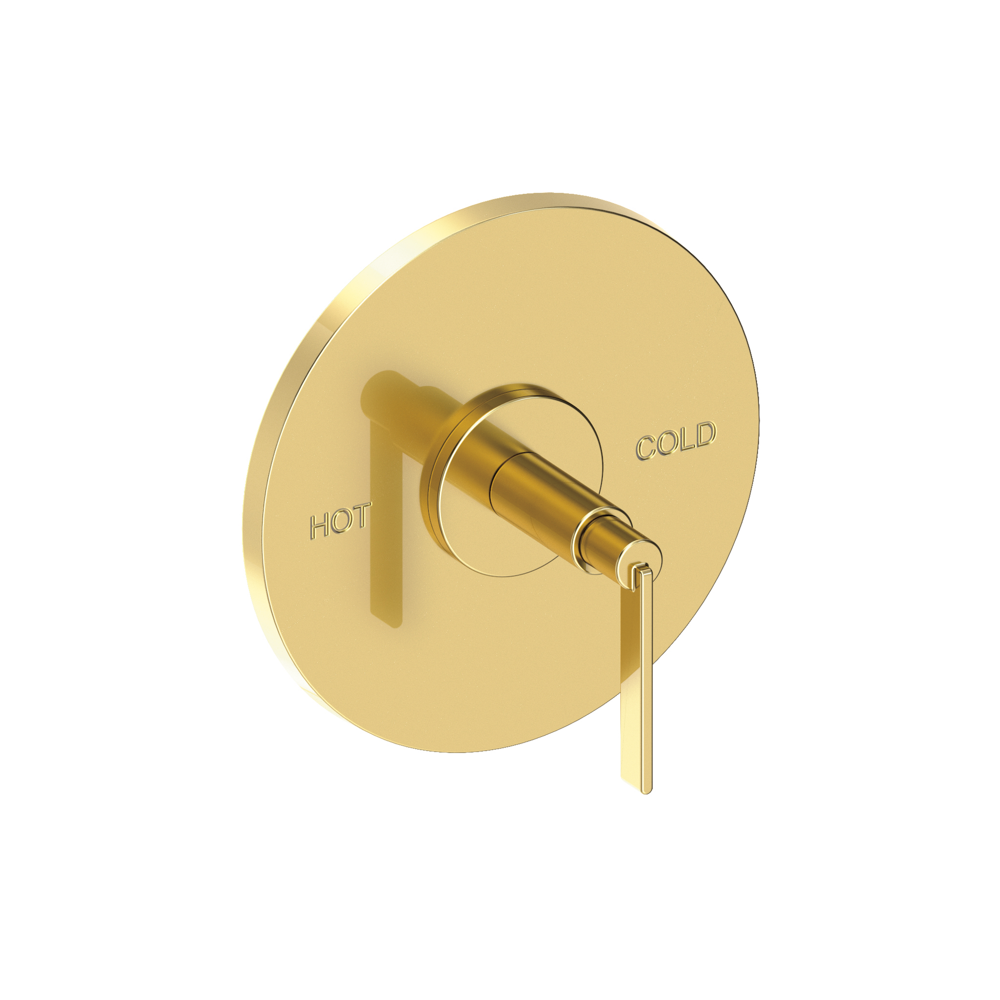 Newport Brass Tolmin® Balanced Pressure Shower Trim Plate with Handle