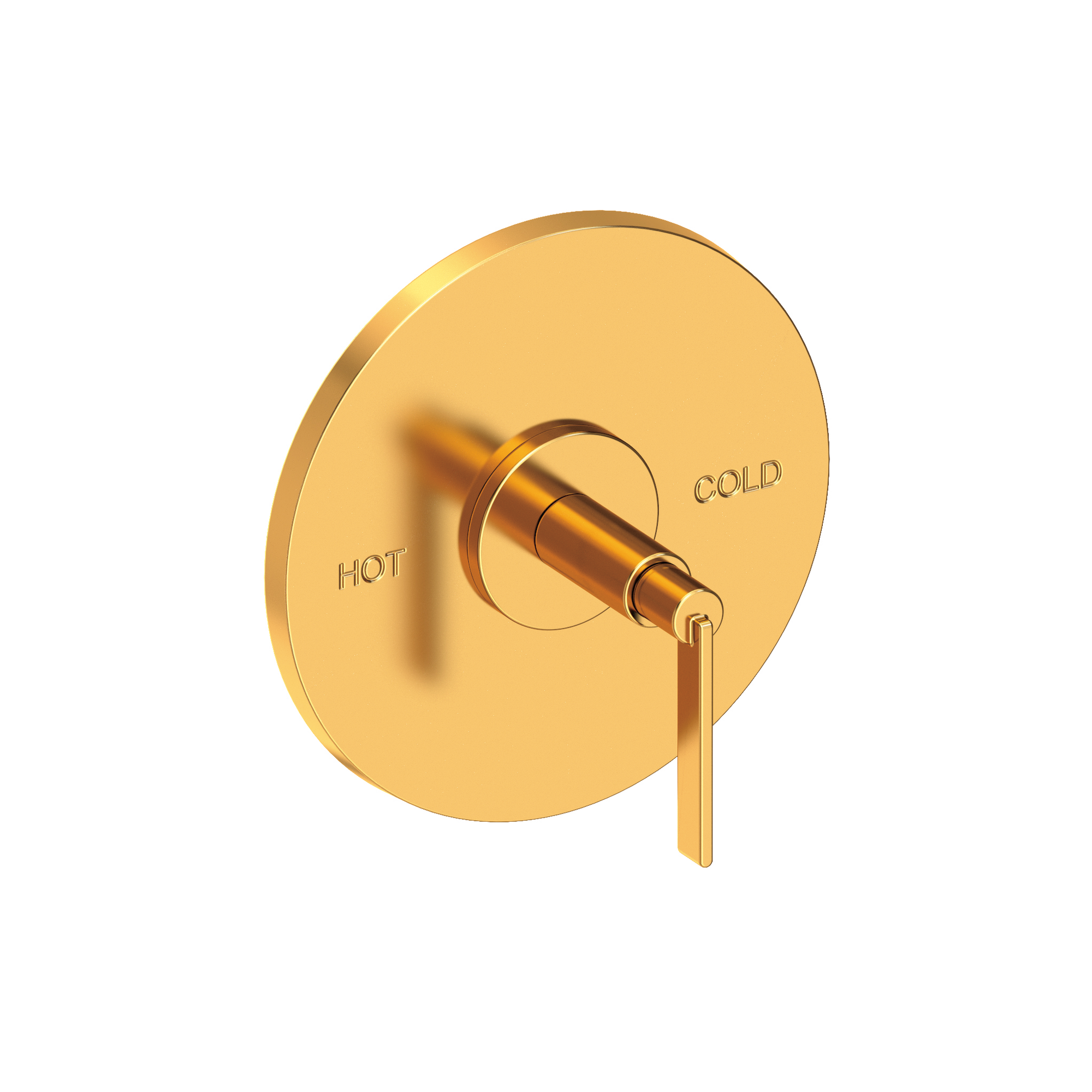 Newport Brass Tolmin® Balanced Pressure Shower Trim Plate with Handle