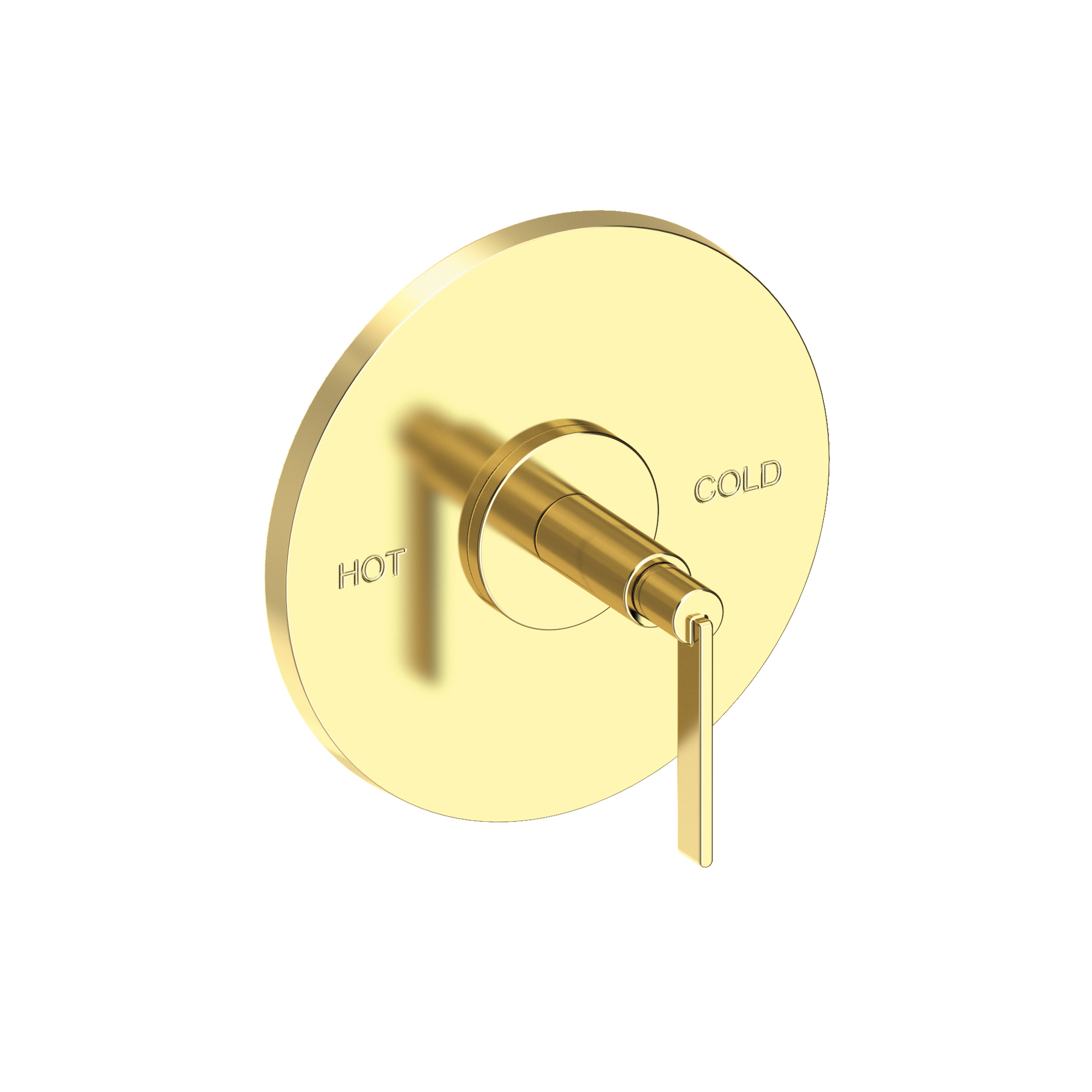 Newport Brass Tolmin® Balanced Pressure Shower Trim Plate with Handle