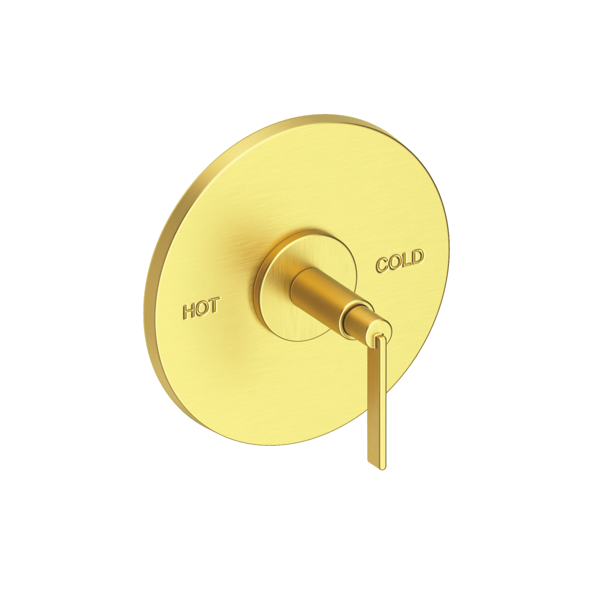Newport Brass Tolmin® Balanced Pressure Shower Trim Plate with Handle
