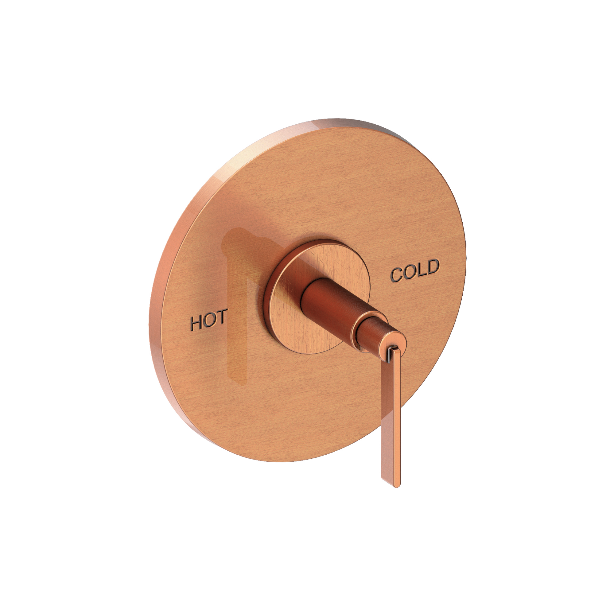 Newport Brass Tolmin® Balanced Pressure Shower Trim Plate with Handle