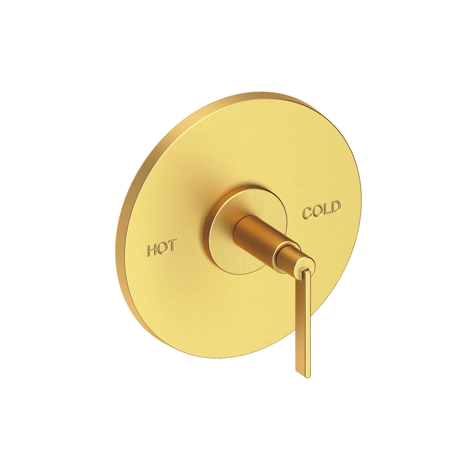 Newport Brass Tolmin® Balanced Pressure Shower Trim Plate with Handle