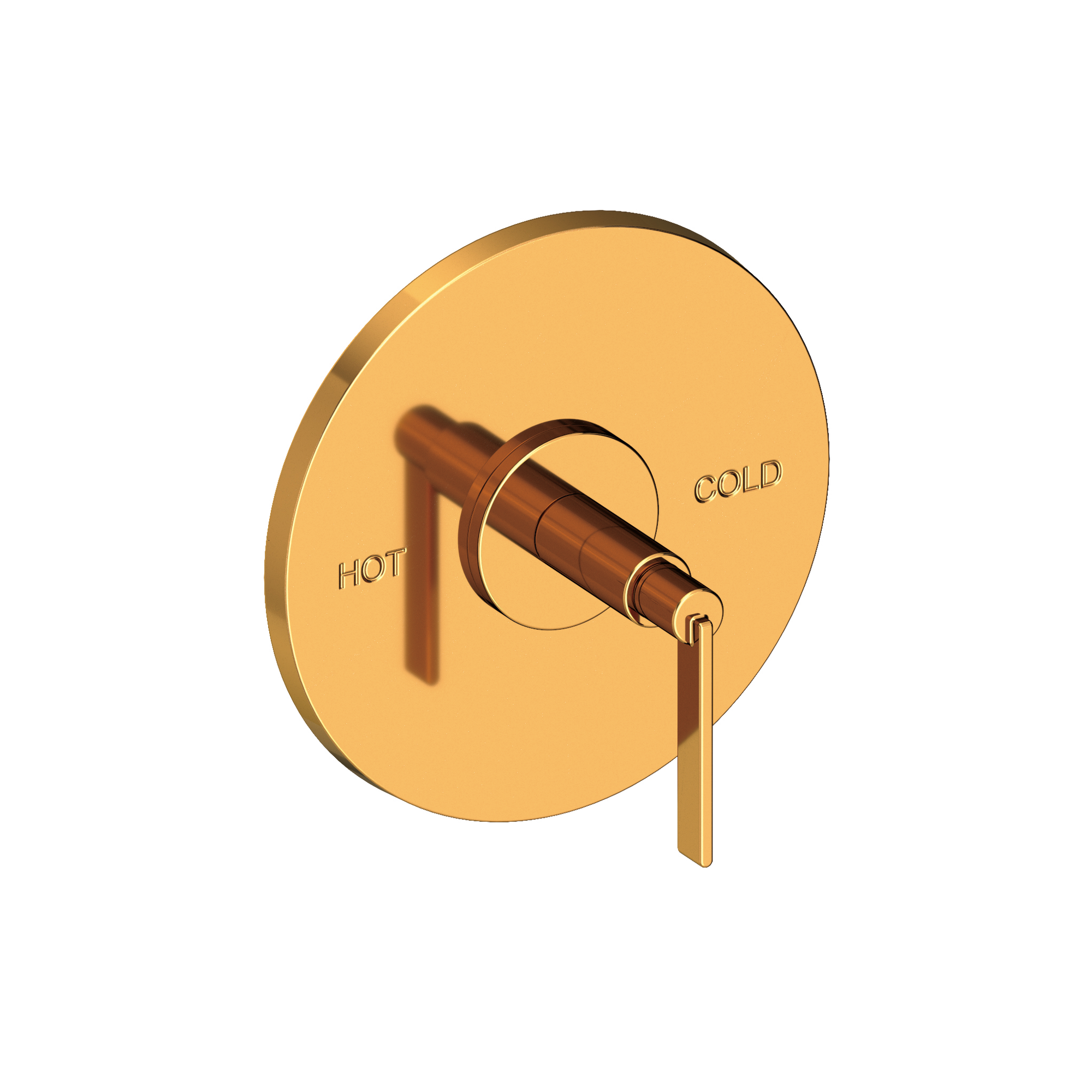 Newport Brass Tolmin® Balanced Pressure Shower Trim Plate with Handle
