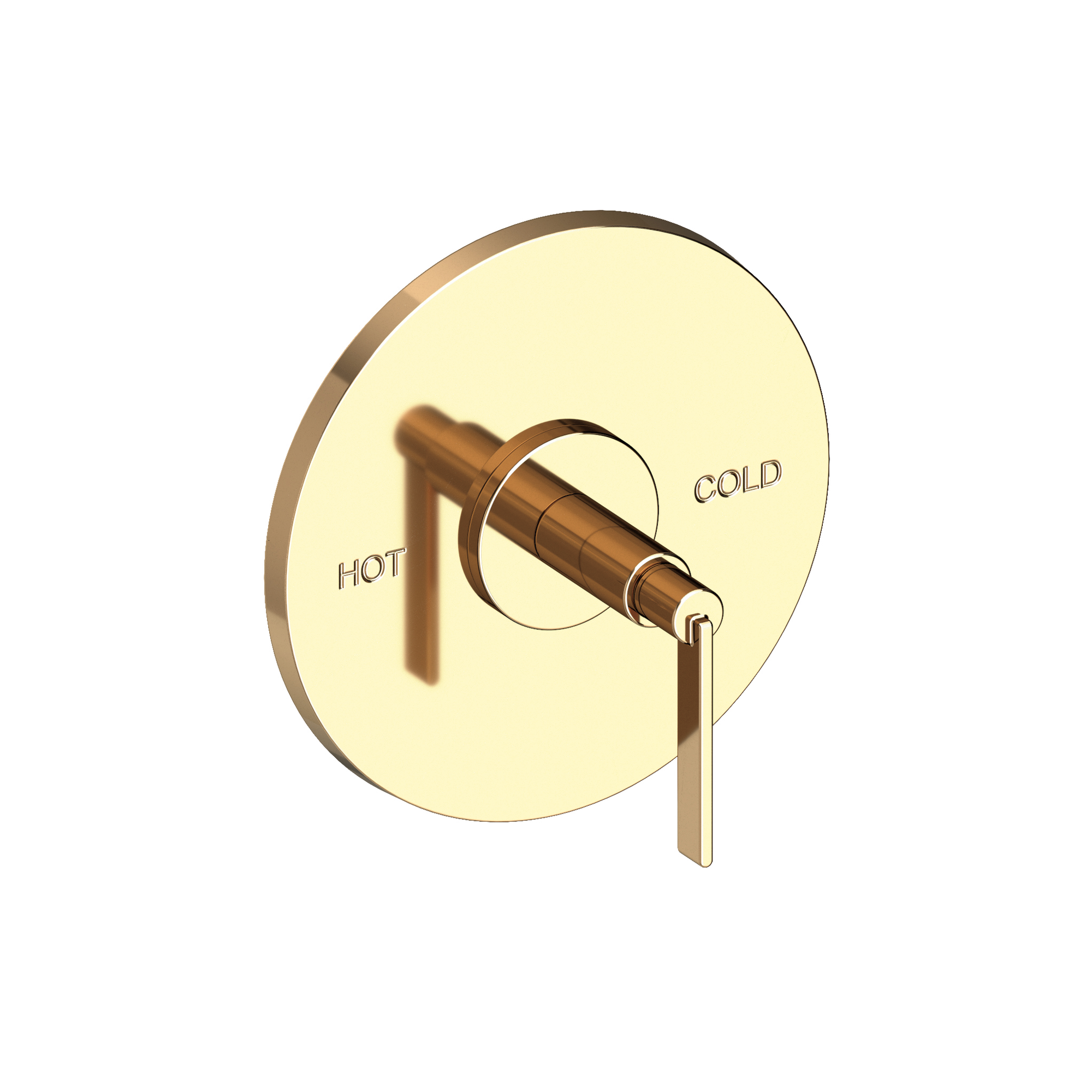 Newport Brass Tolmin® Balanced Pressure Shower Trim Plate with Handle