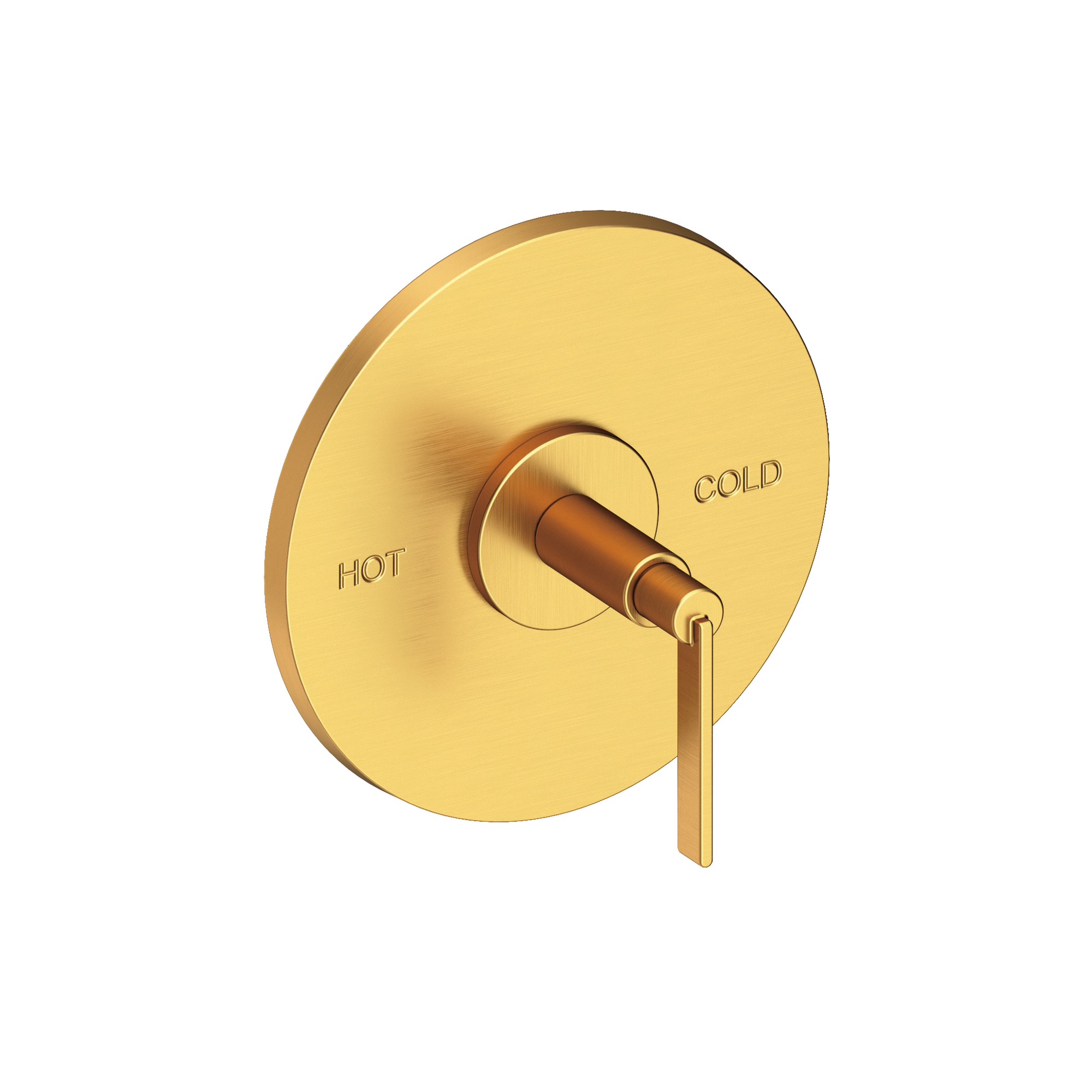 Newport Brass Tolmin® Balanced Pressure Shower Trim Plate with Handle