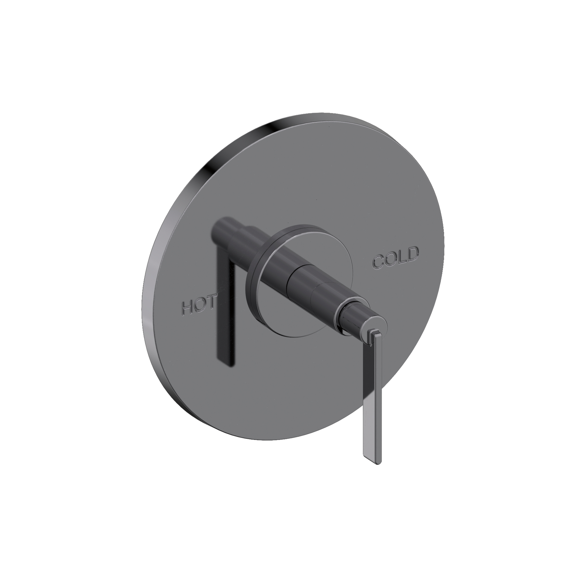 Newport Brass Tolmin® Balanced Pressure Shower Trim Plate with Handle