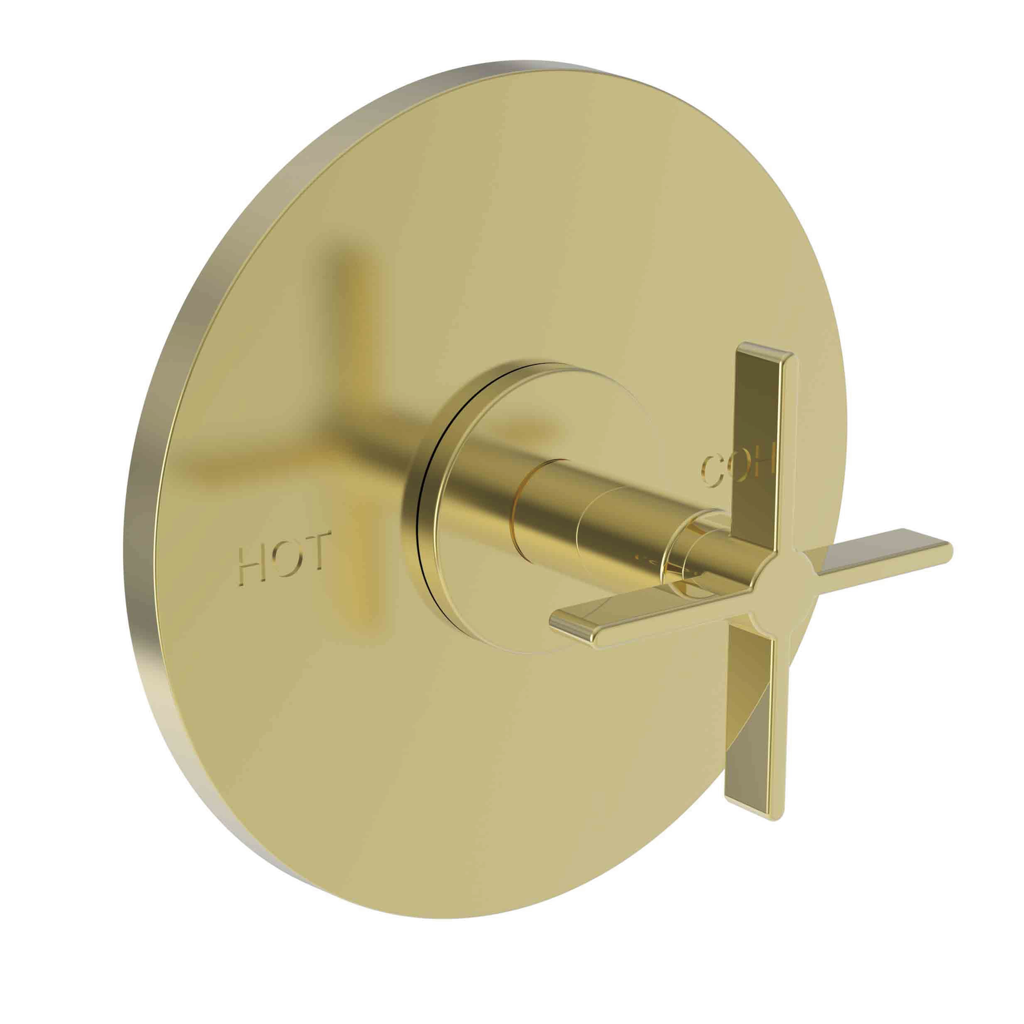 Newport Brass Tolmin® Balanced Pressure Shower Trim Plate with Handle