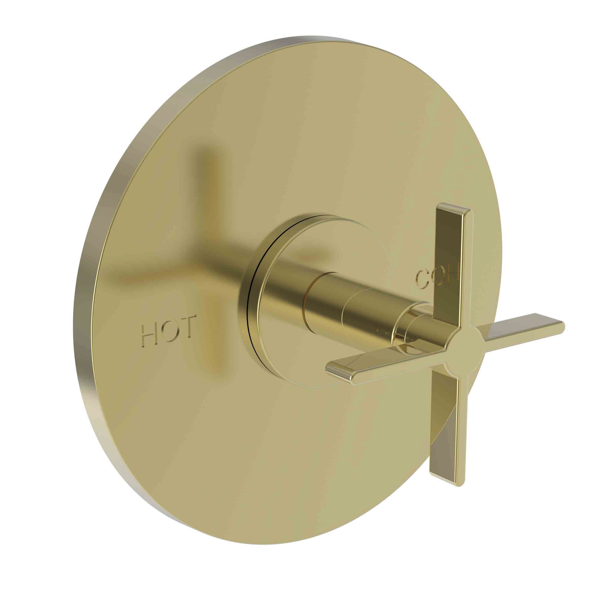 Newport Brass Tolmin® Balanced Pressure Shower Trim Plate with Handle