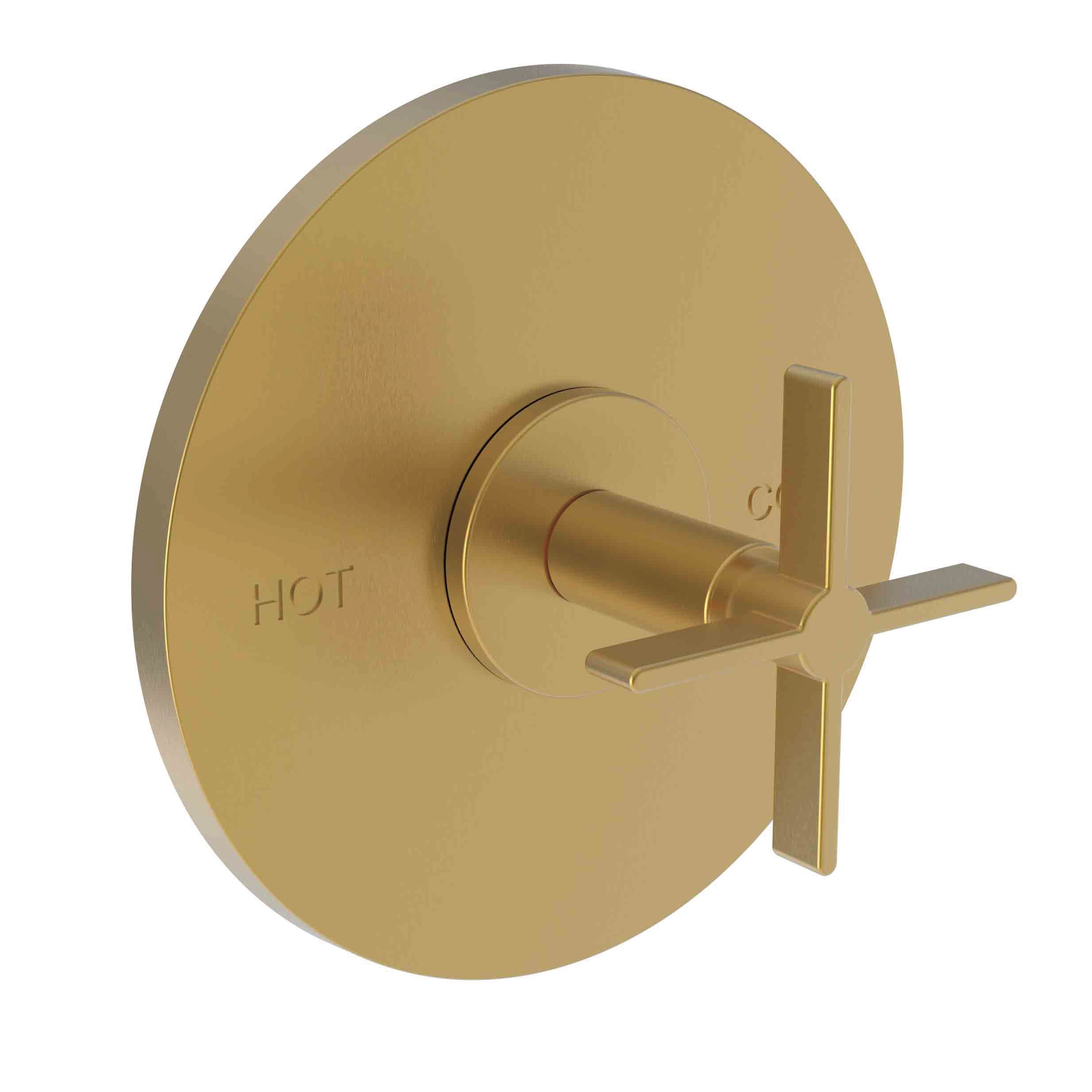 Newport Brass Tolmin® Balanced Pressure Shower Trim Plate with Handle