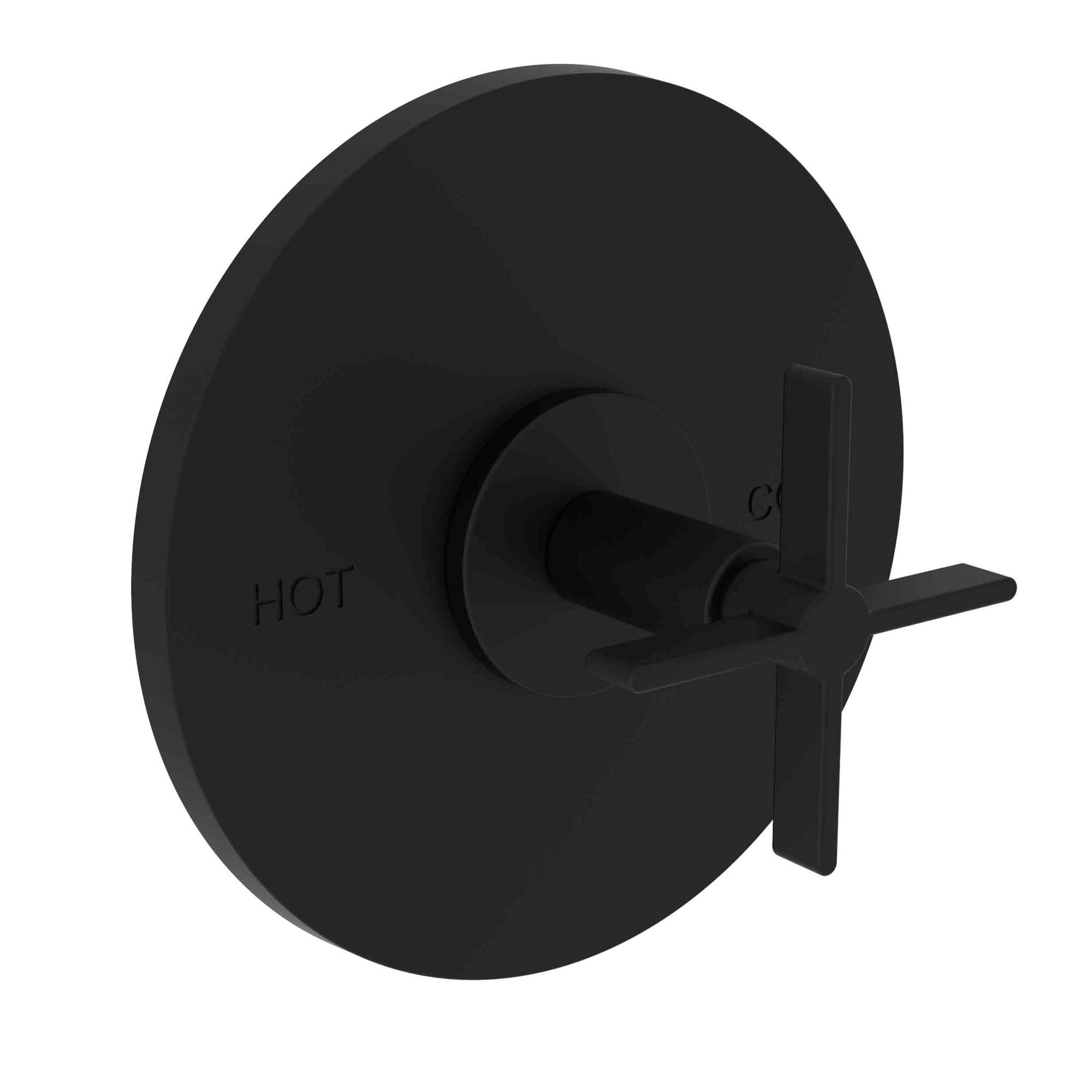 Newport Brass Tolmin® Balanced Pressure Shower Trim Plate with Handle