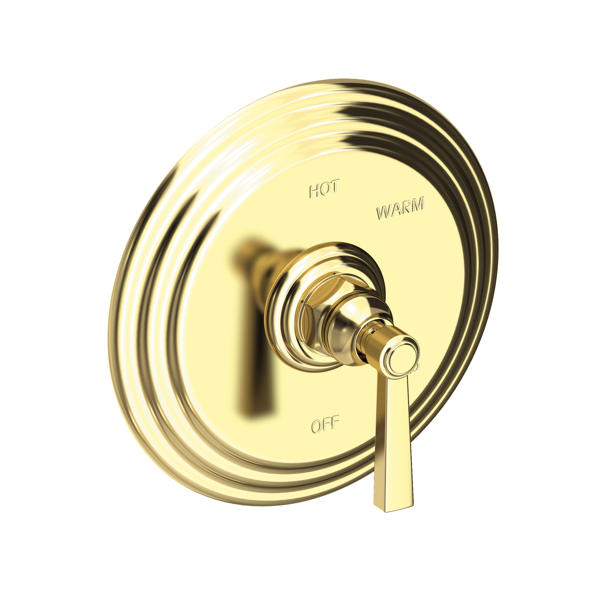 Newport Brass Astor® Balanced Pressure Shower Trim Plate with Handle