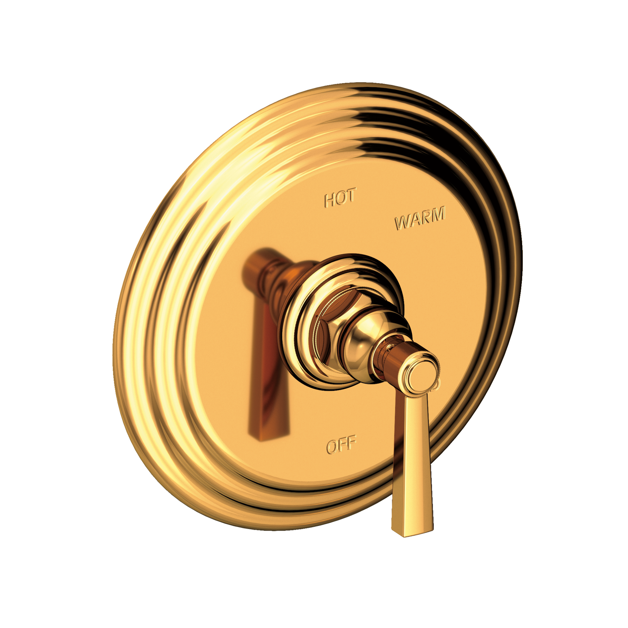 Newport Brass Astor® Balanced Pressure Shower Trim Plate with Handle
