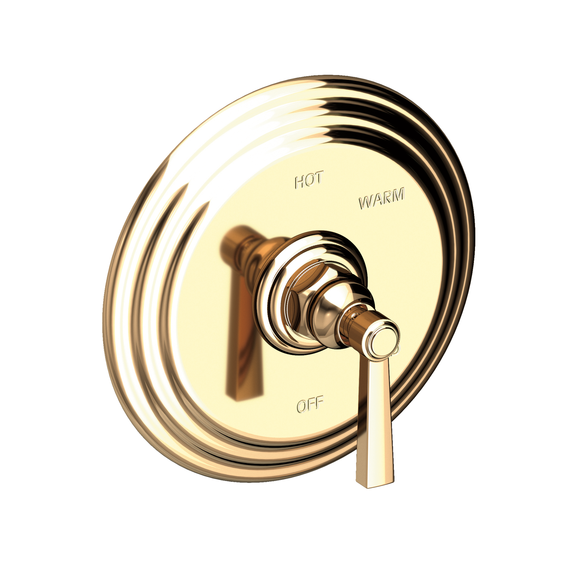 Newport Brass Astor® Balanced Pressure Shower Trim Plate with Handle