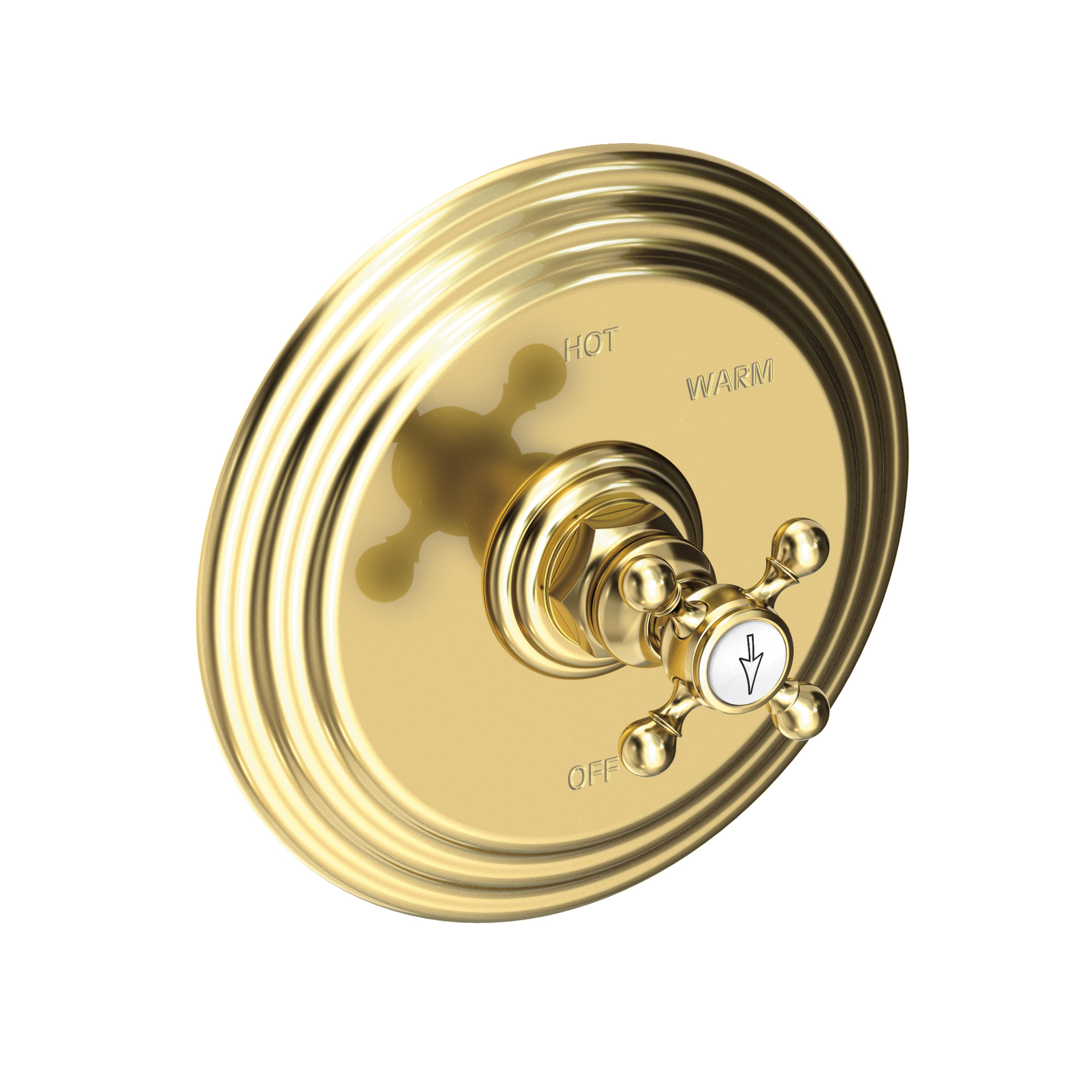 Newport Brass Astor® Balanced Pressure Shower Trim Plate with Handle