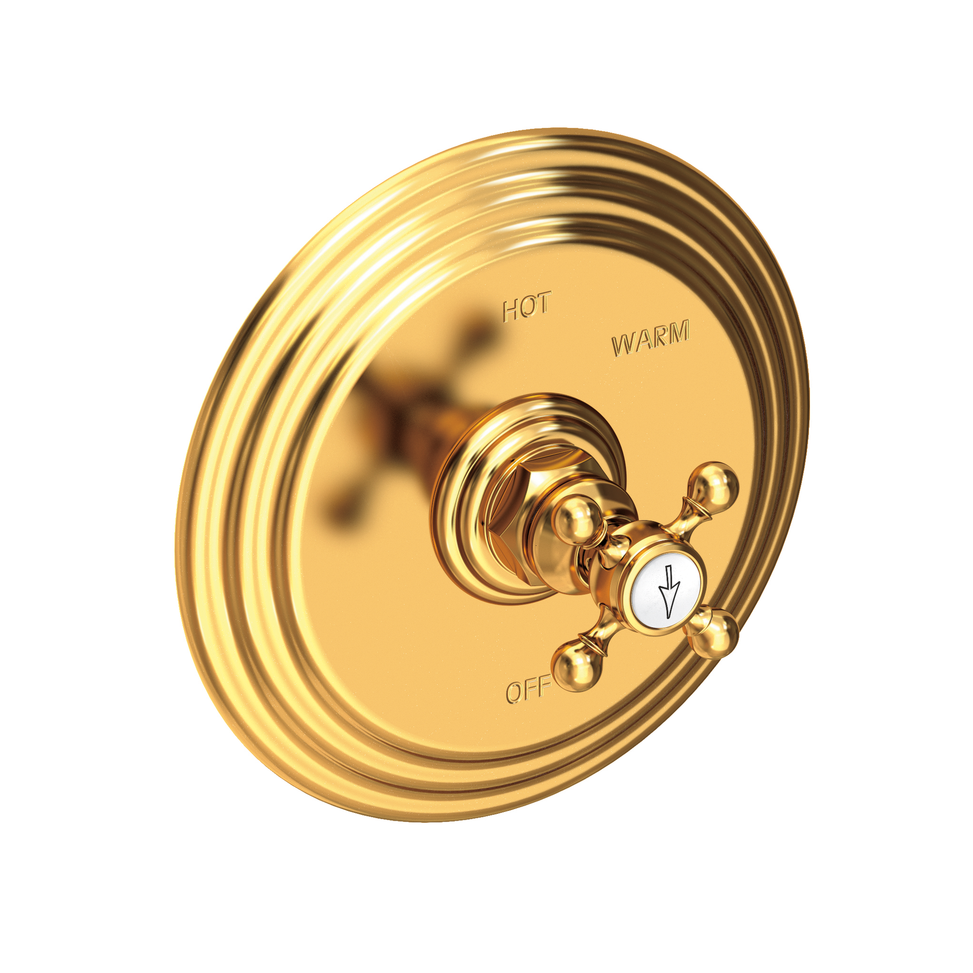 Newport Brass Astor® Balanced Pressure Shower Trim Plate with Handle