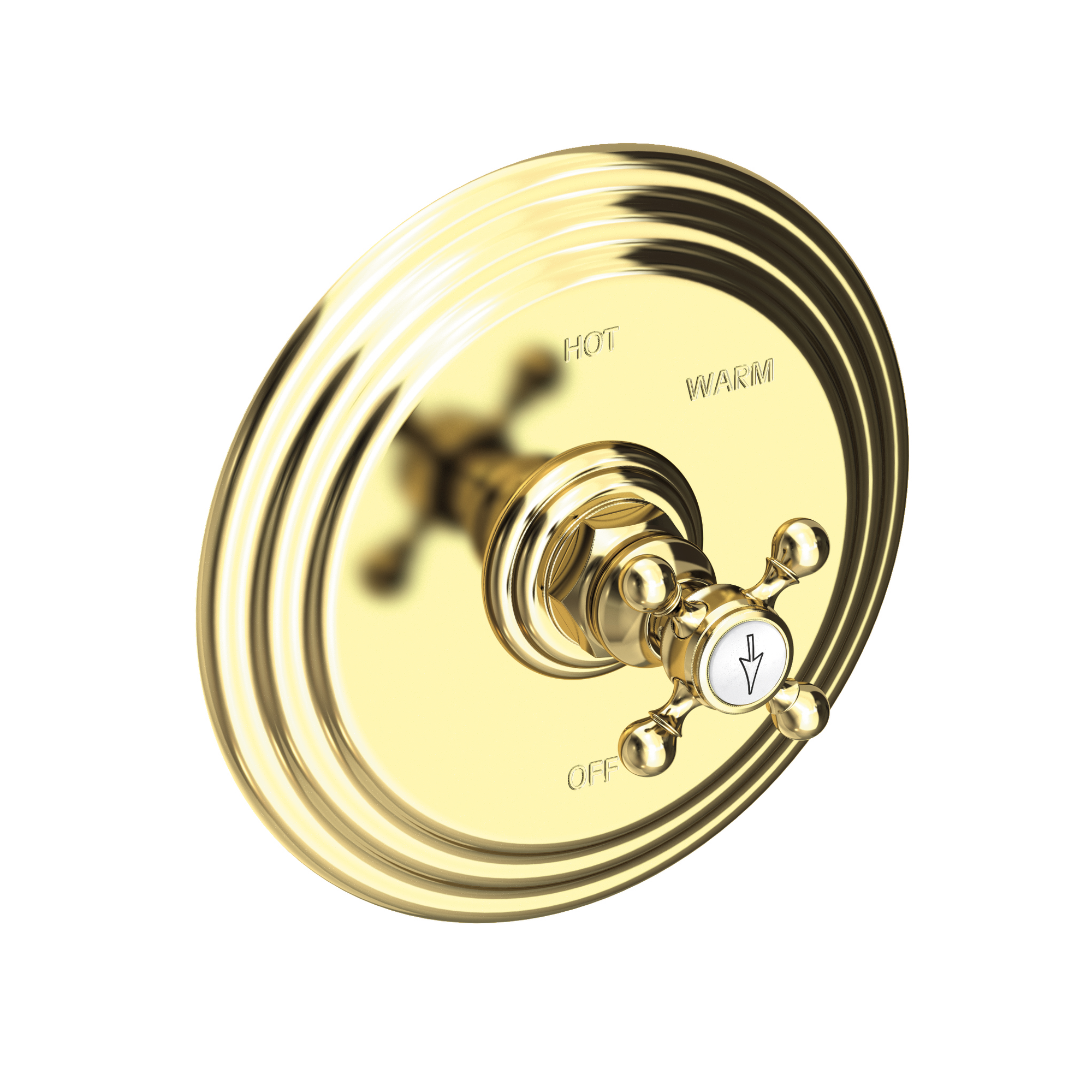 Newport Brass Astor® Balanced Pressure Shower Trim Plate with Handle