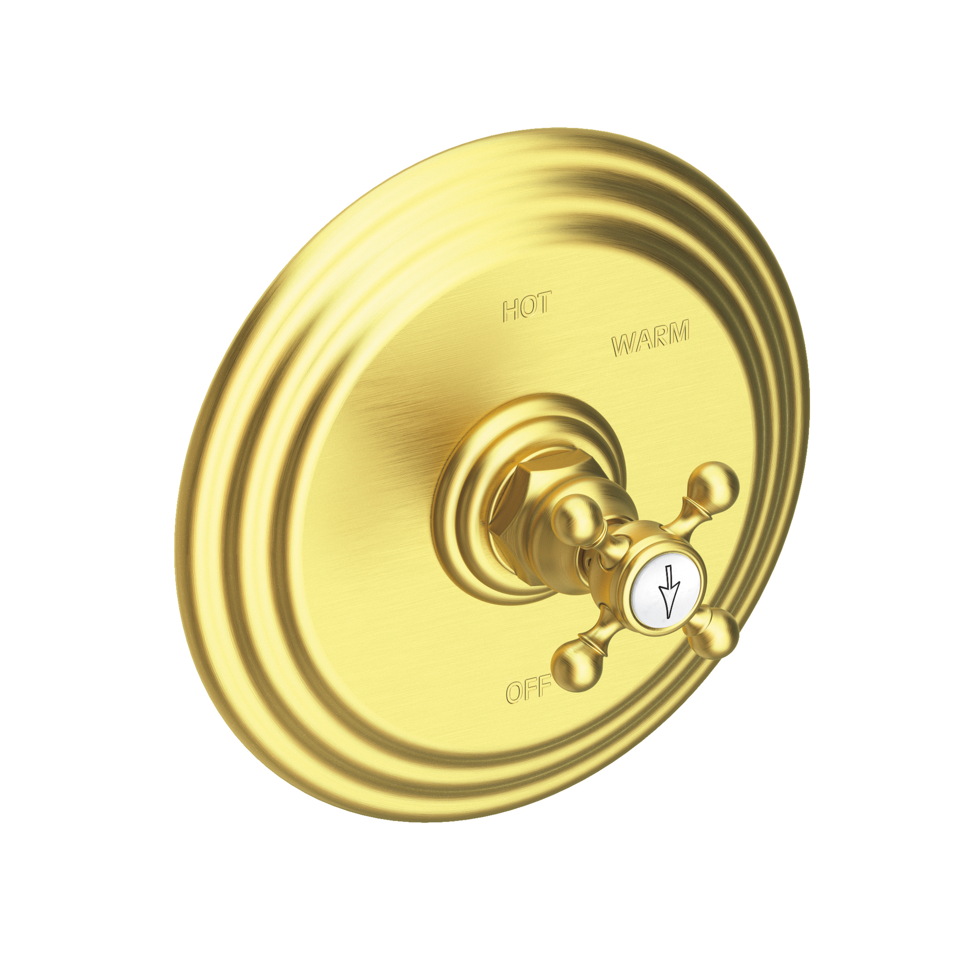 Newport Brass Astor® Balanced Pressure Shower Trim Plate with Handle