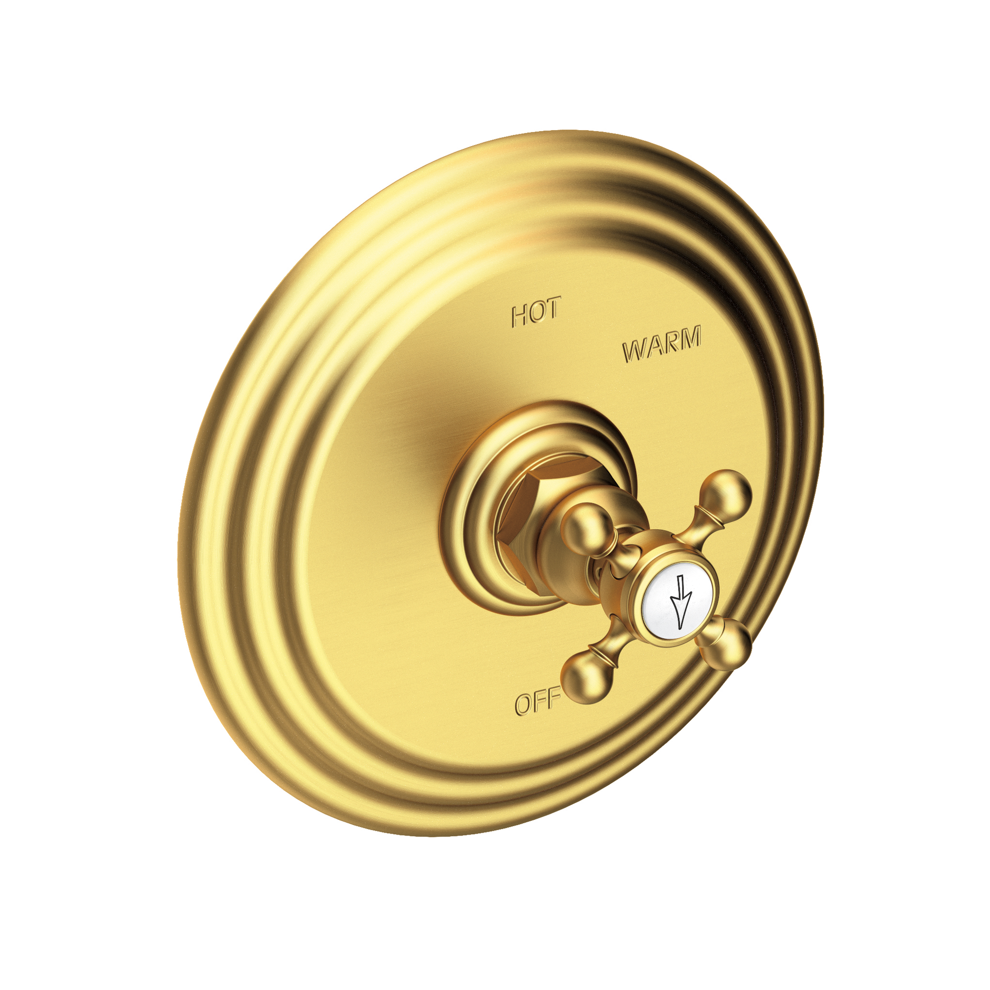 Newport Brass Astor® Balanced Pressure Shower Trim Plate with Handle