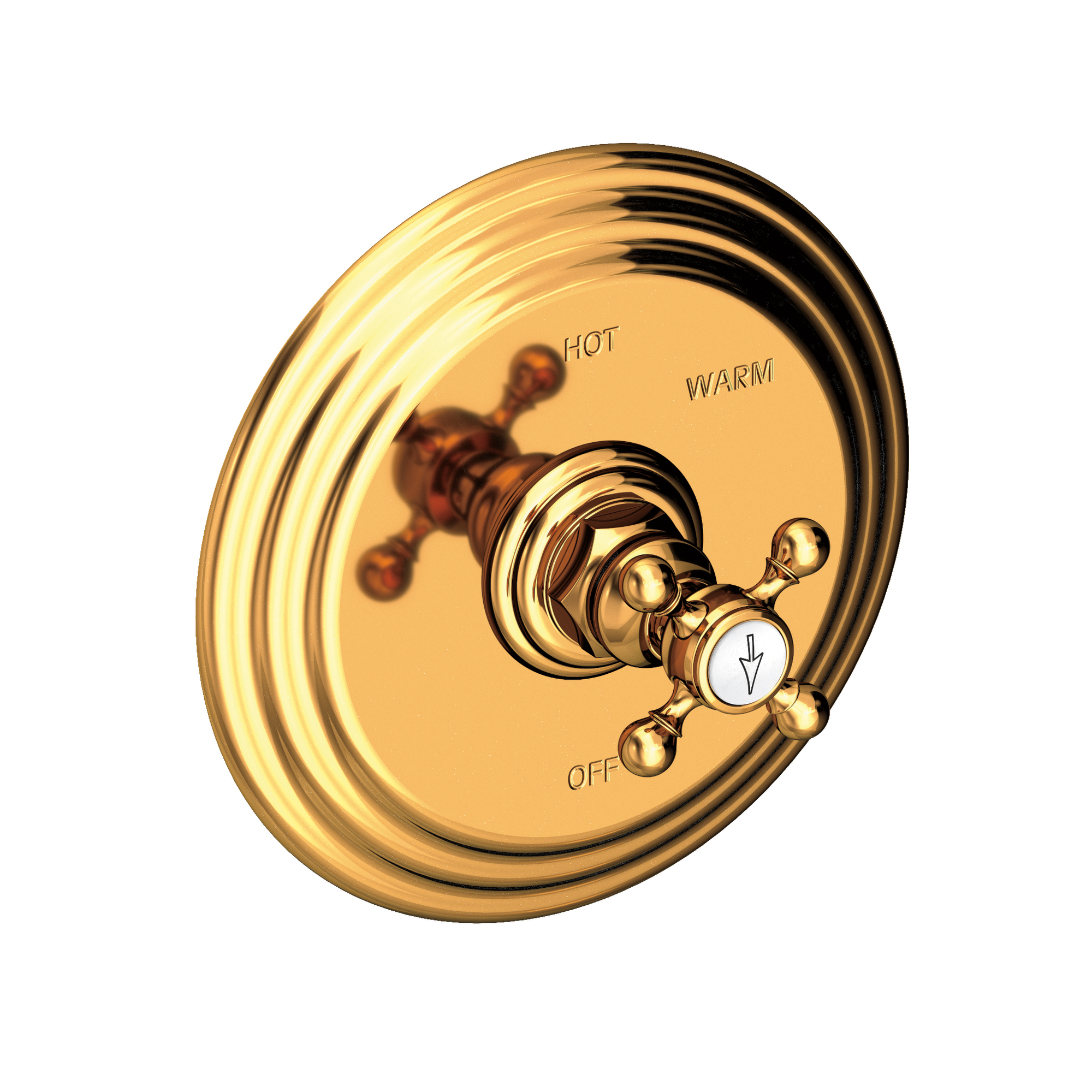 Newport Brass Astor® Balanced Pressure Shower Trim Plate with Handle