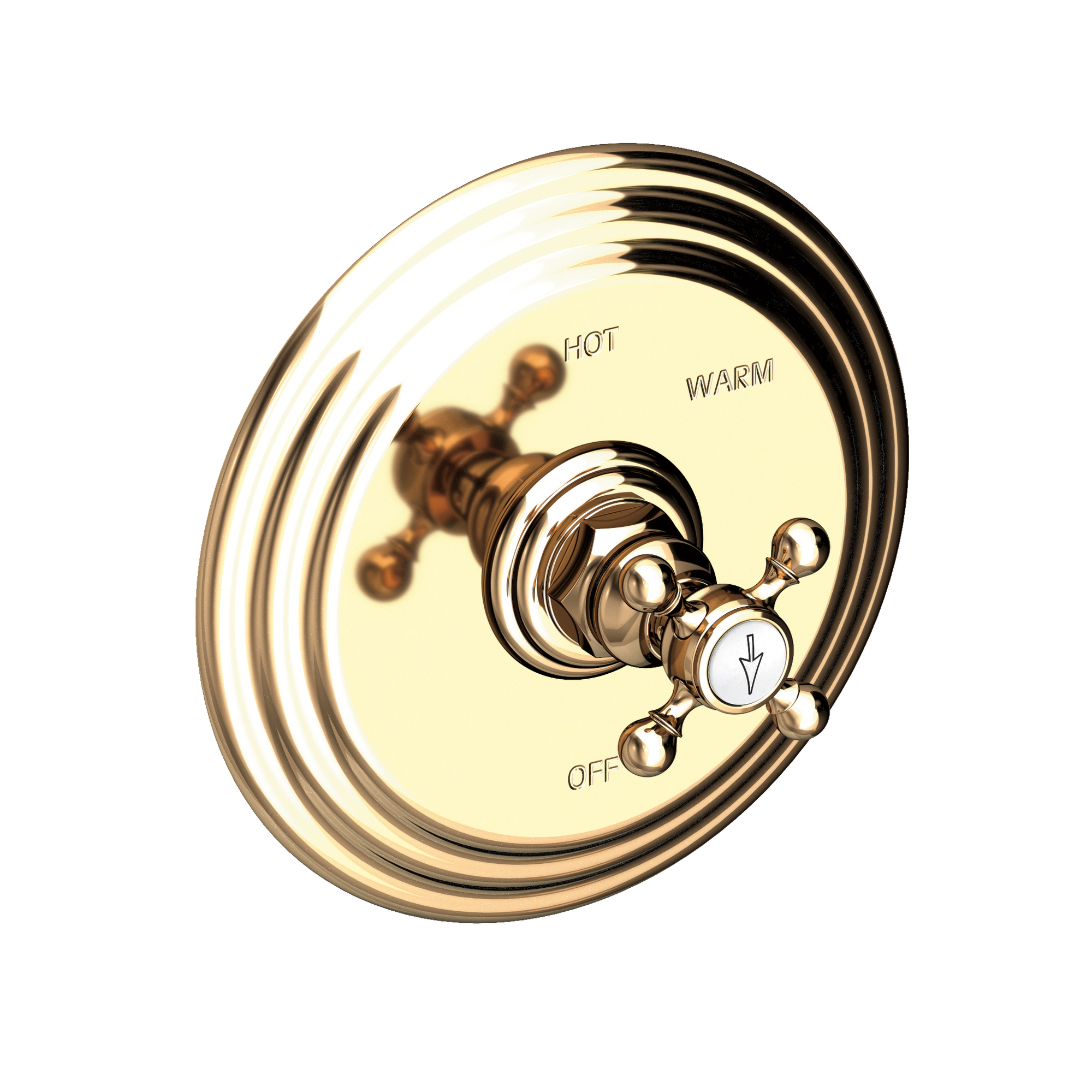 Newport Brass Astor® Balanced Pressure Shower Trim Plate with Handle