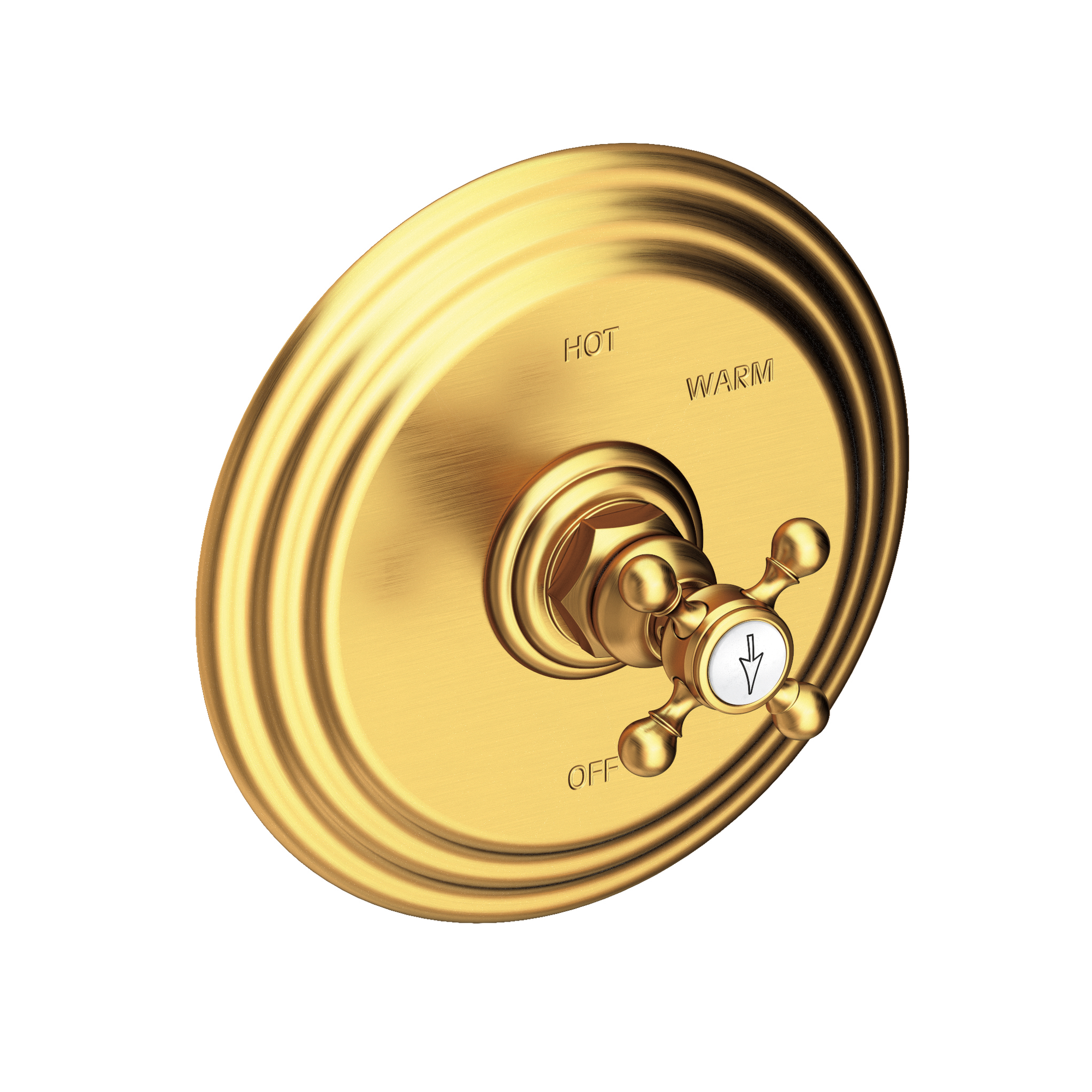 Newport Brass Astor® Balanced Pressure Shower Trim Plate with Handle