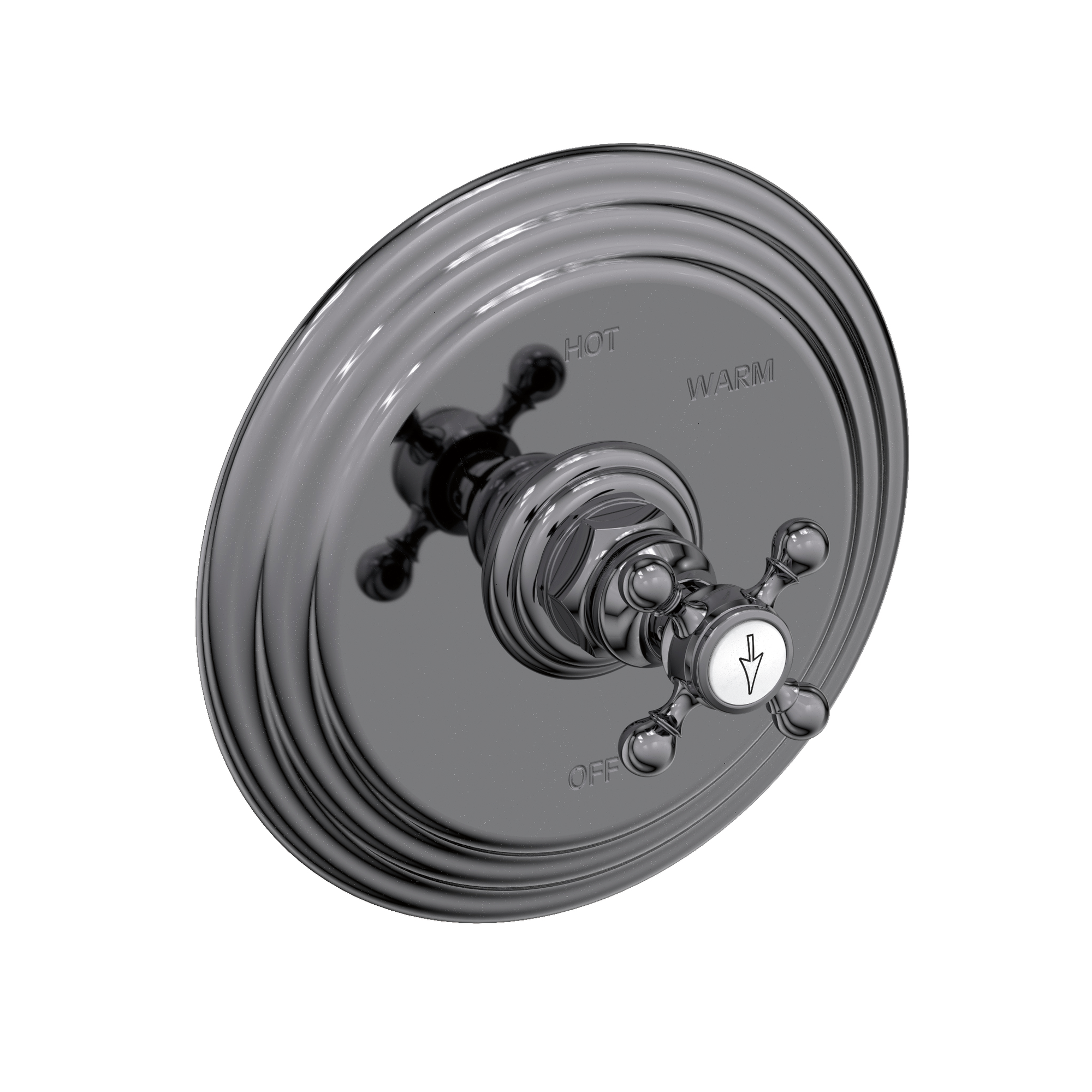 Newport Brass Astor® Balanced Pressure Shower Trim Plate with Handle
