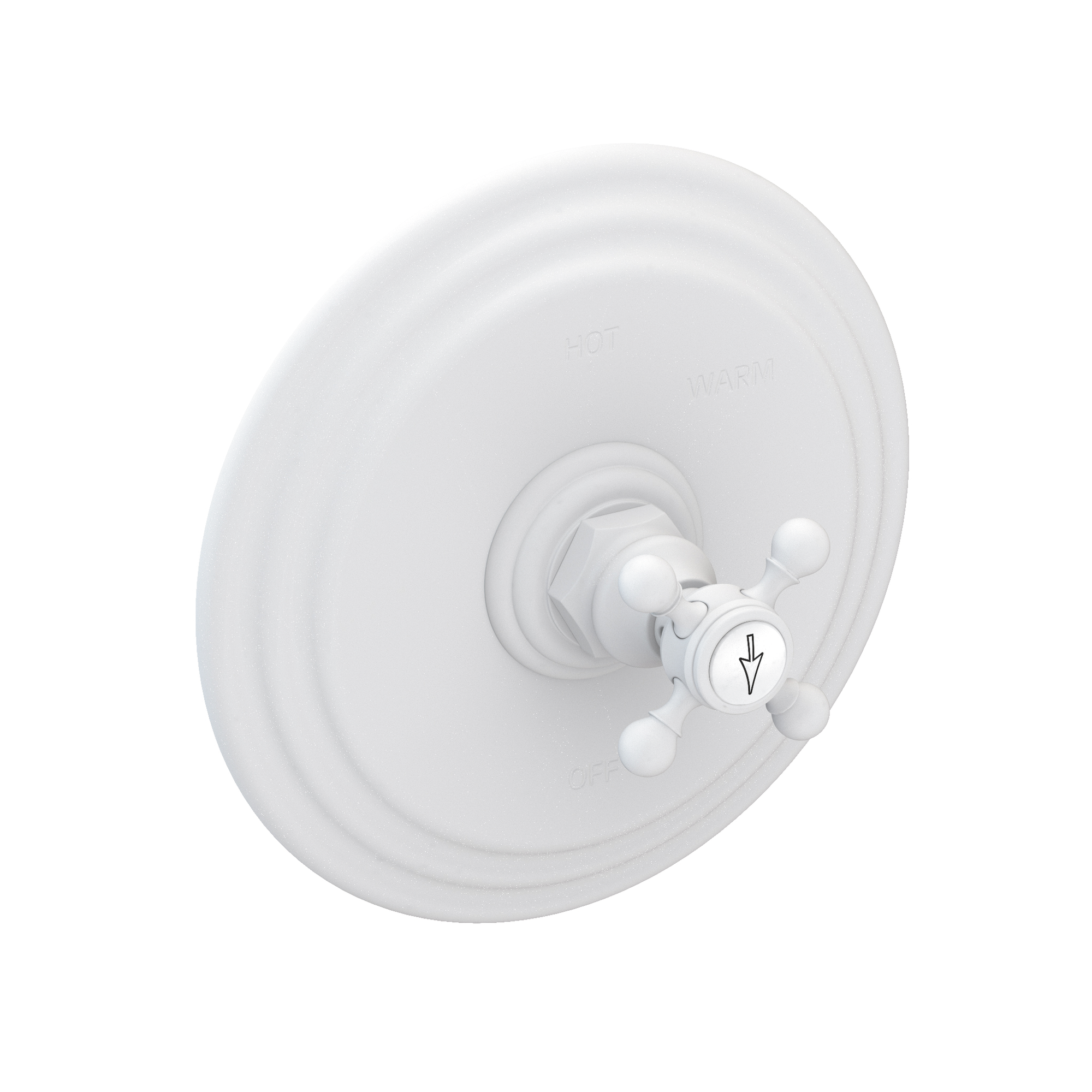 Newport Brass Astor® Balanced Pressure Shower Trim Plate with Handle