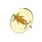 Newport Brass East Linear® Balanced Pressure Shower Trim Plate with Handle
