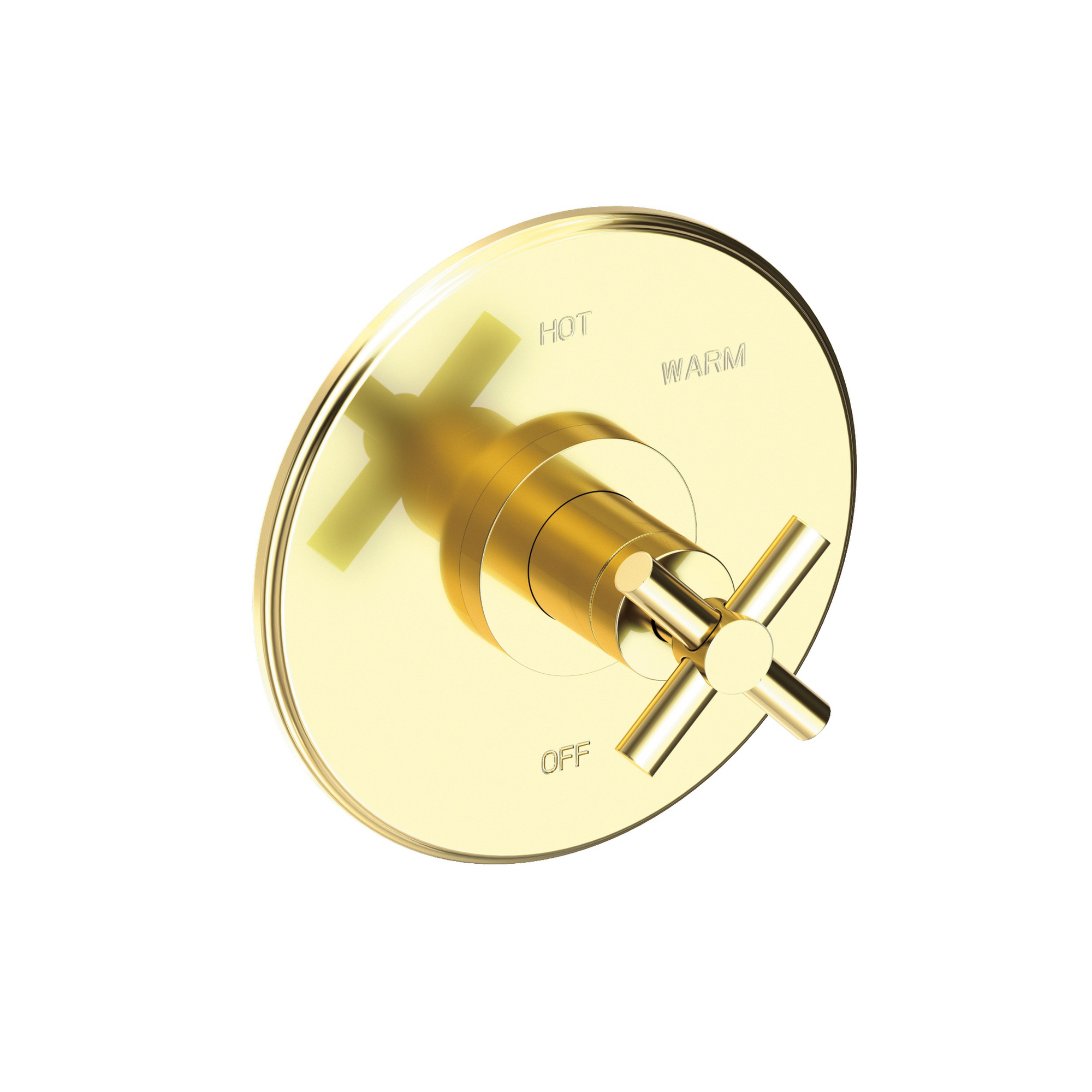 Newport Brass East Linear® Balanced Pressure Shower Trim Plate with Handle