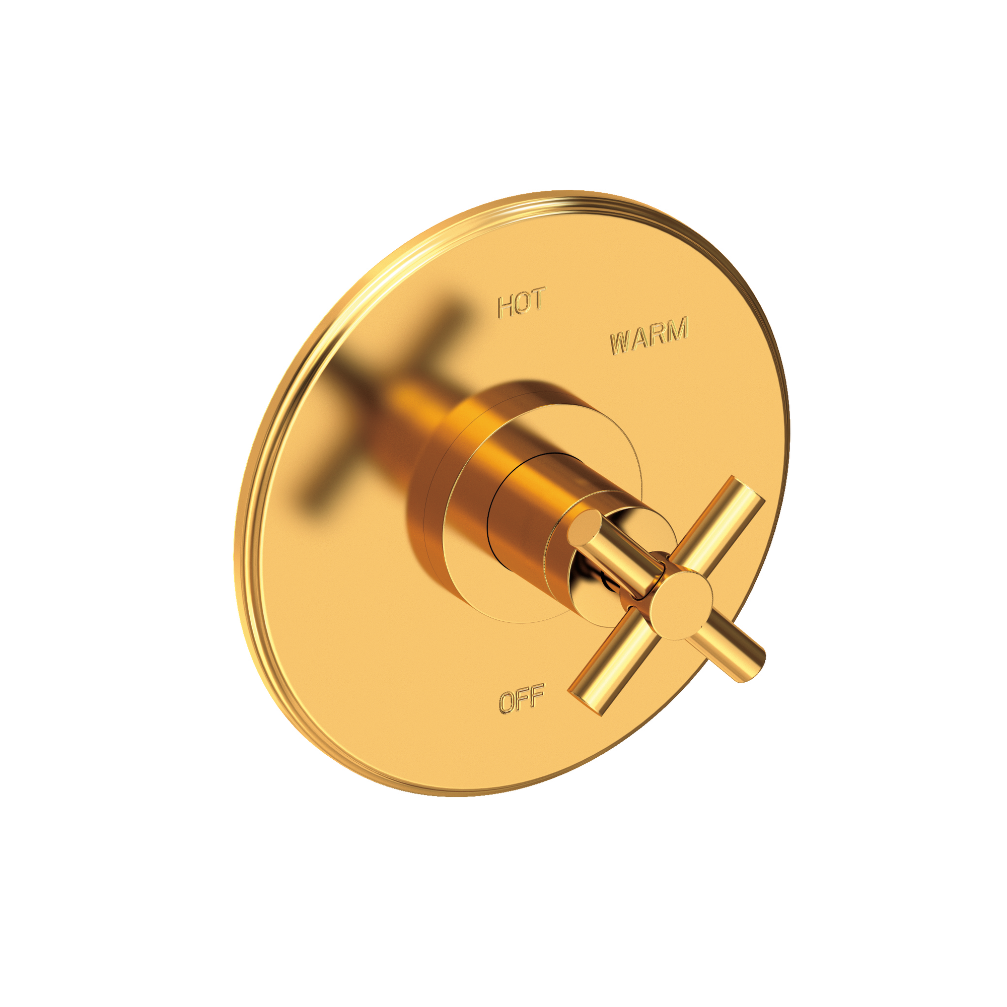 Newport Brass East Linear® Balanced Pressure Shower Trim Plate with Handle