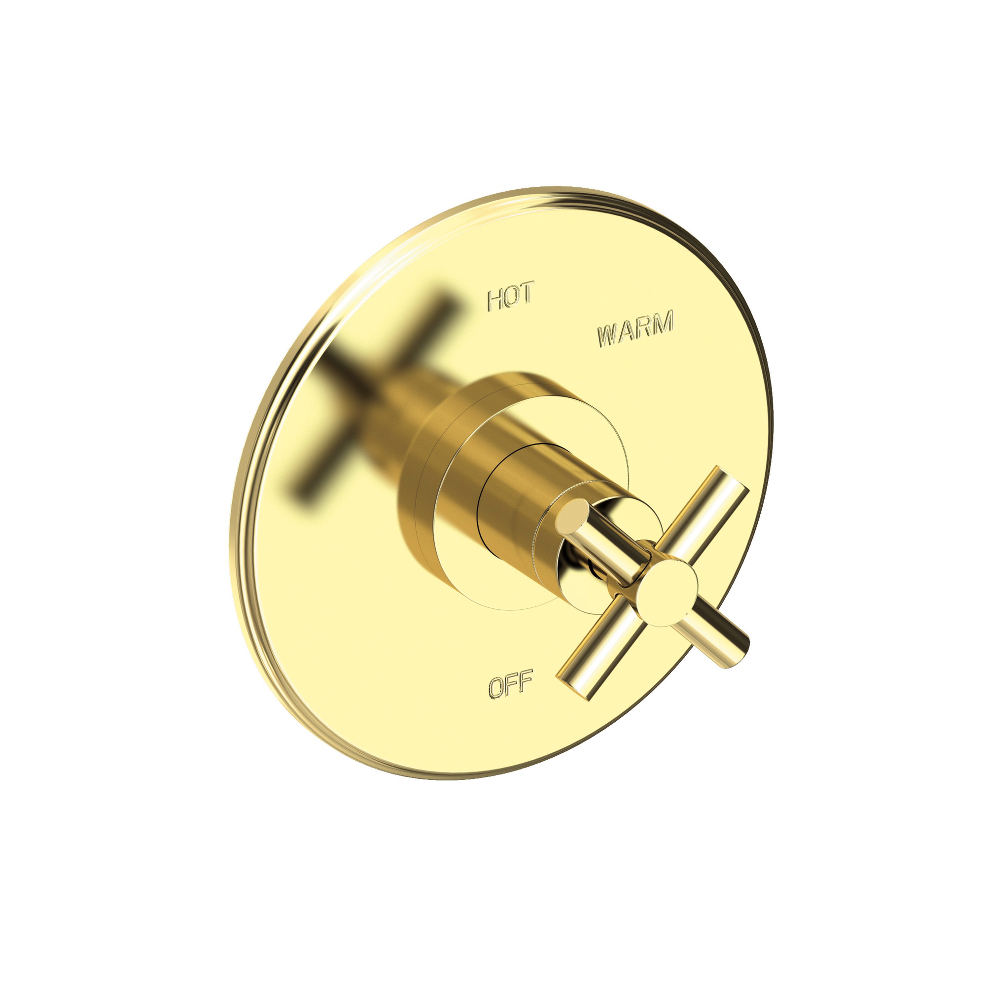 Newport Brass East Linear® Balanced Pressure Shower Trim Plate with Handle