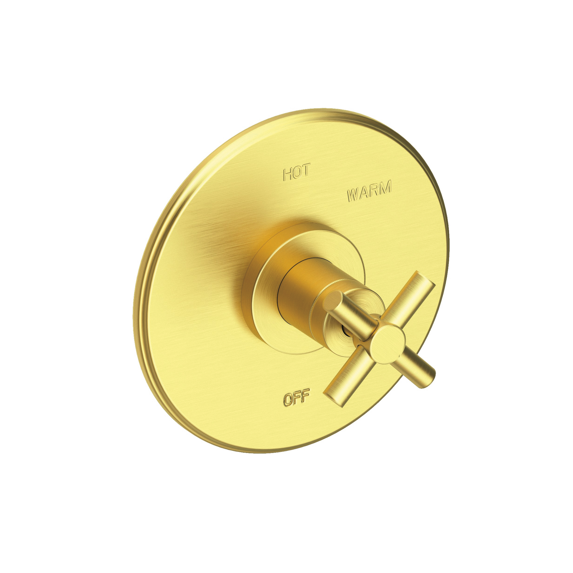 Newport Brass East Linear® Balanced Pressure Shower Trim Plate with Handle