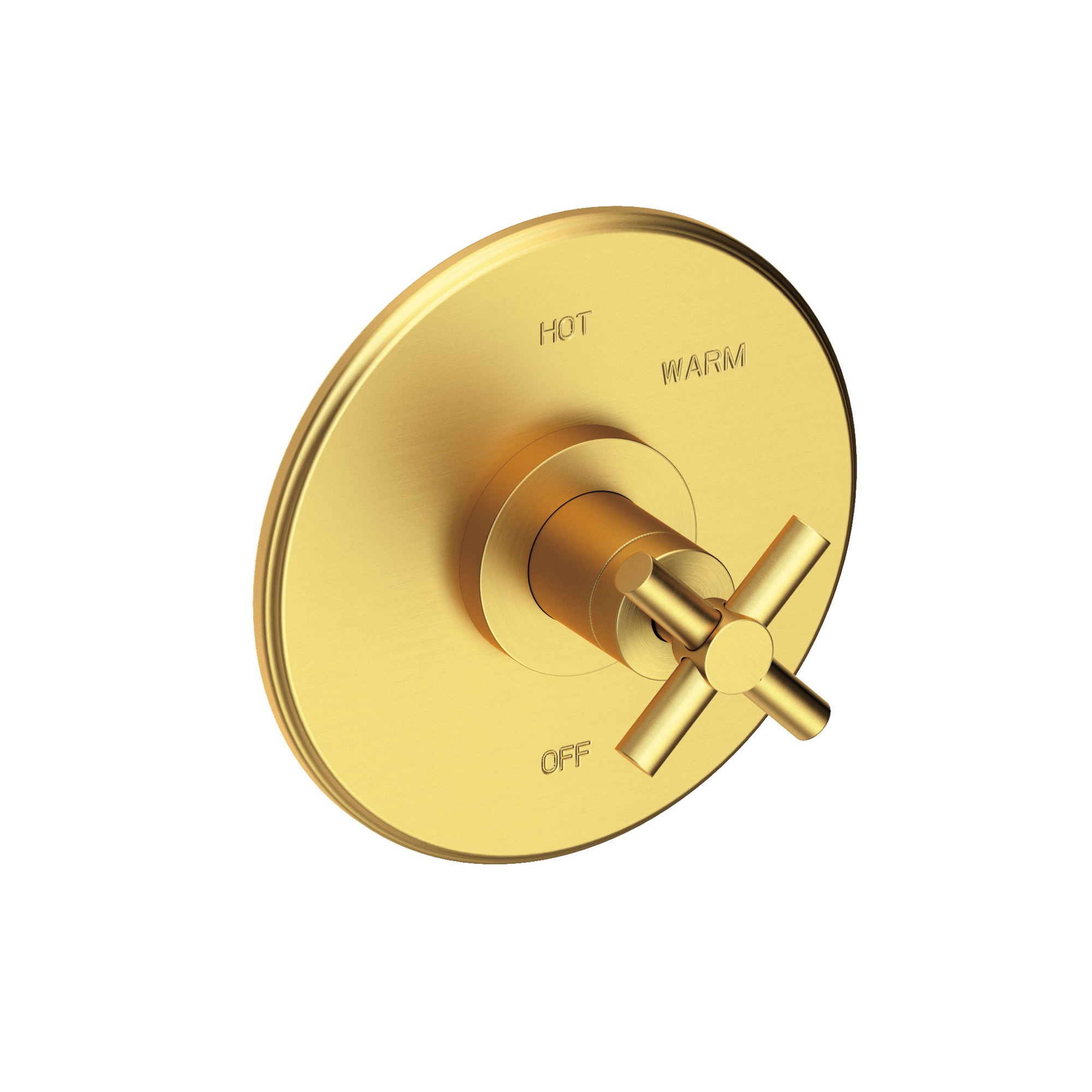 Newport Brass East Linear® Balanced Pressure Shower Trim Plate with Handle