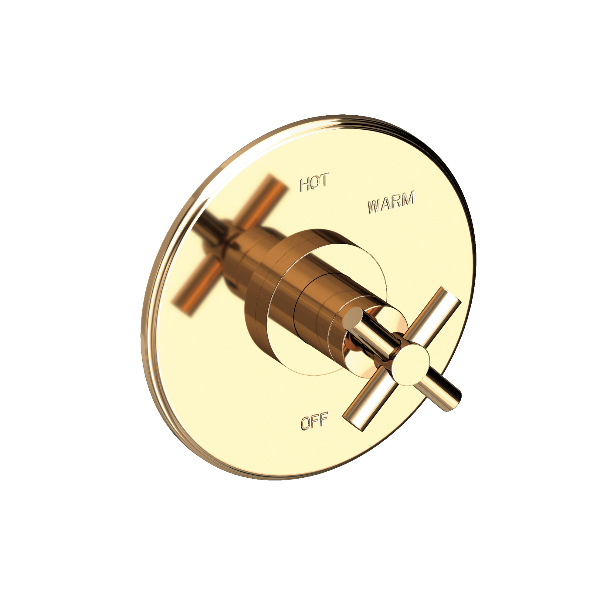 Newport Brass East Linear® Balanced Pressure Shower Trim Plate with Handle