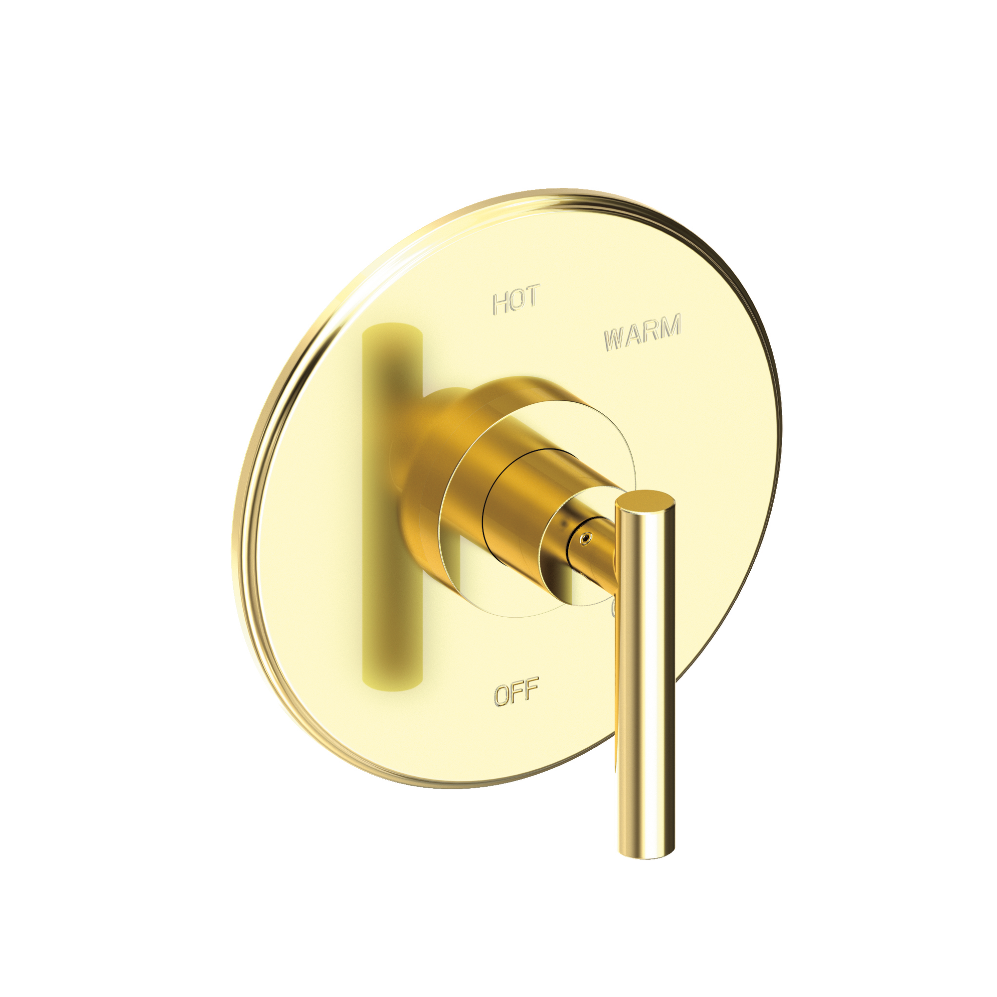 Newport Brass East Linear® Balanced Pressure Shower Trim Plate with Handle