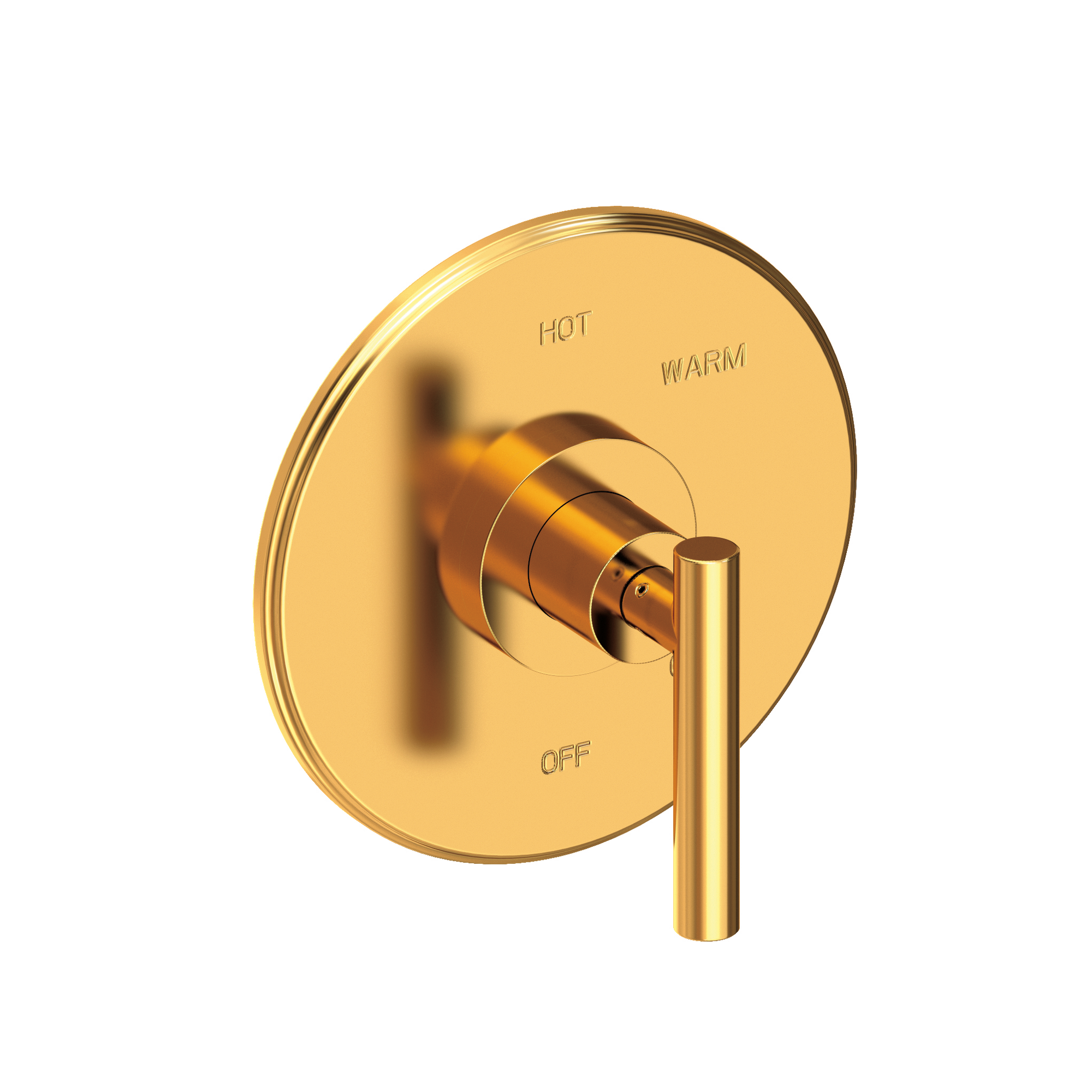Newport Brass East Linear® Balanced Pressure Shower Trim Plate with Handle