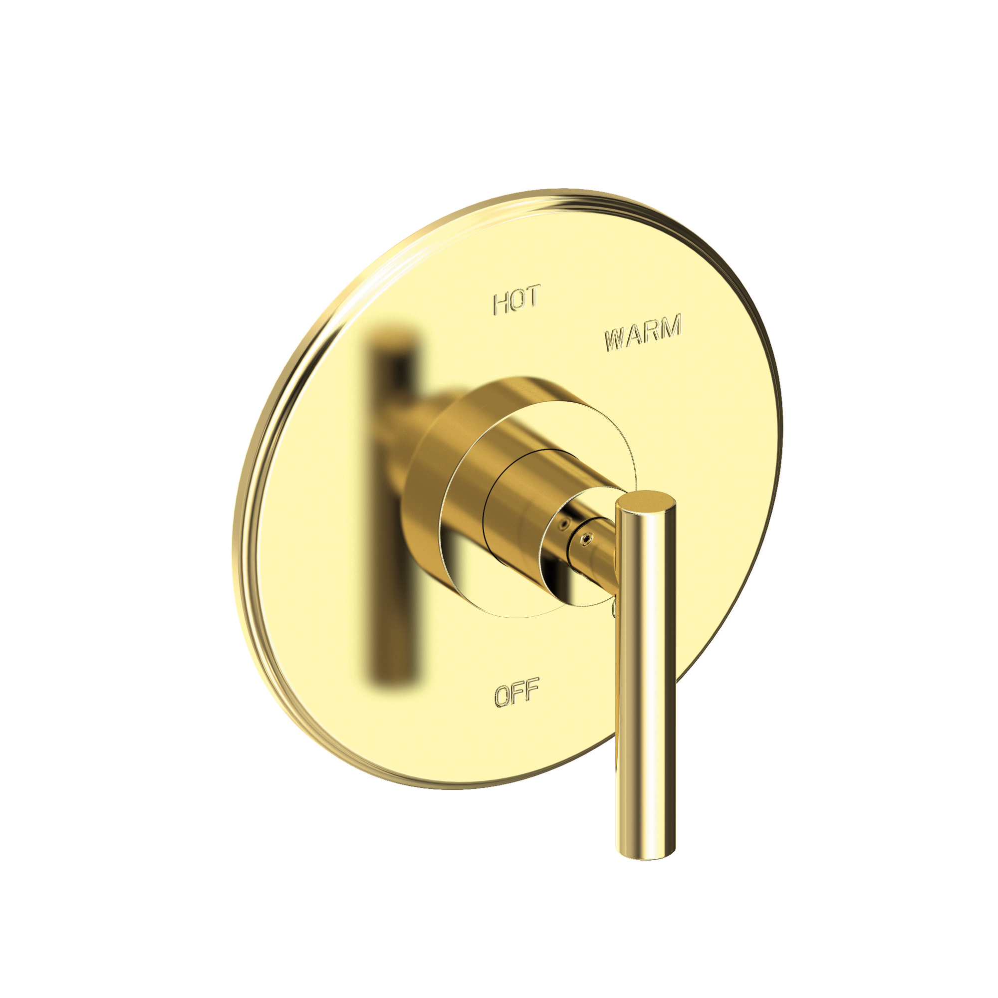 Newport Brass East Linear® Balanced Pressure Shower Trim Plate with Handle