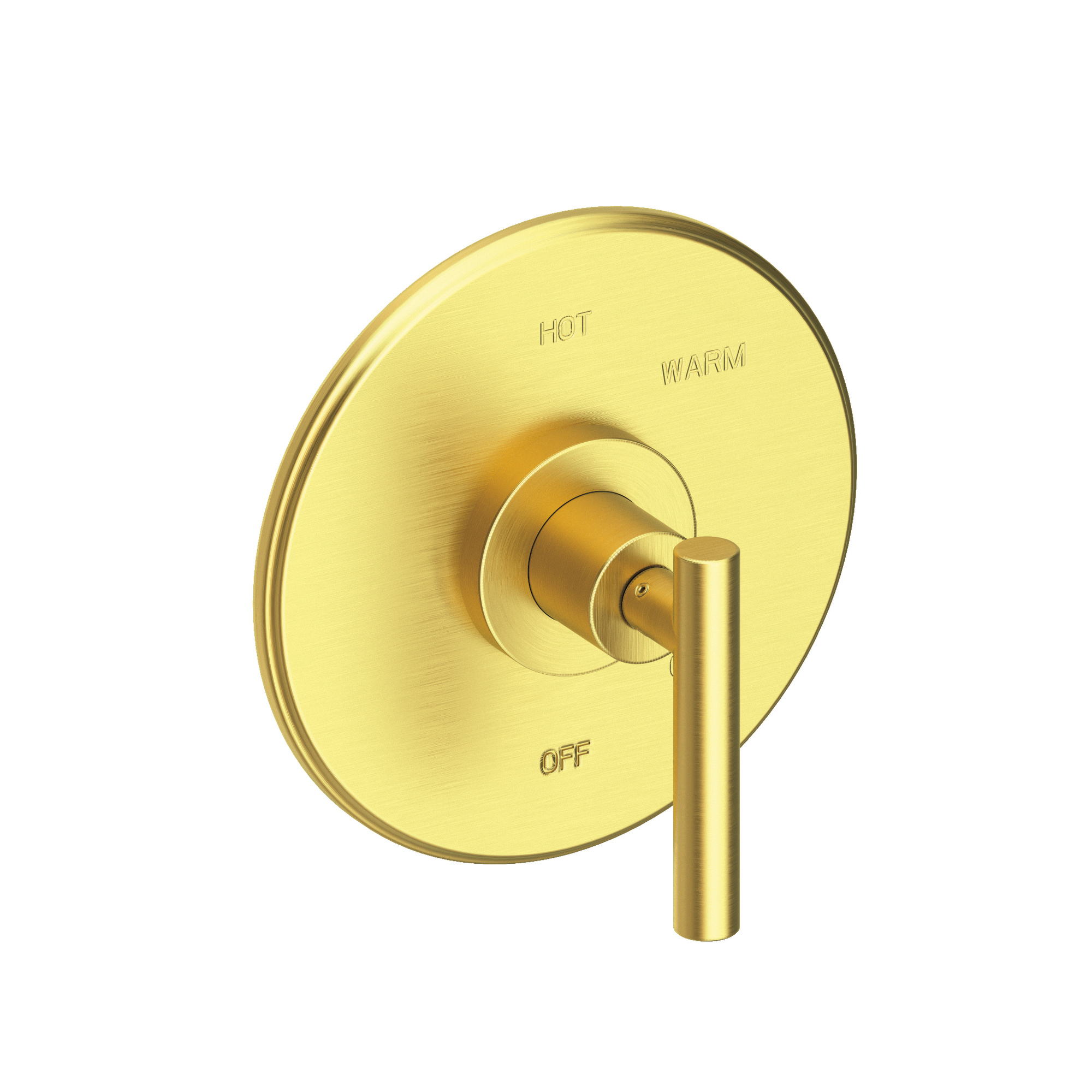 Newport Brass East Linear® Balanced Pressure Shower Trim Plate with Handle