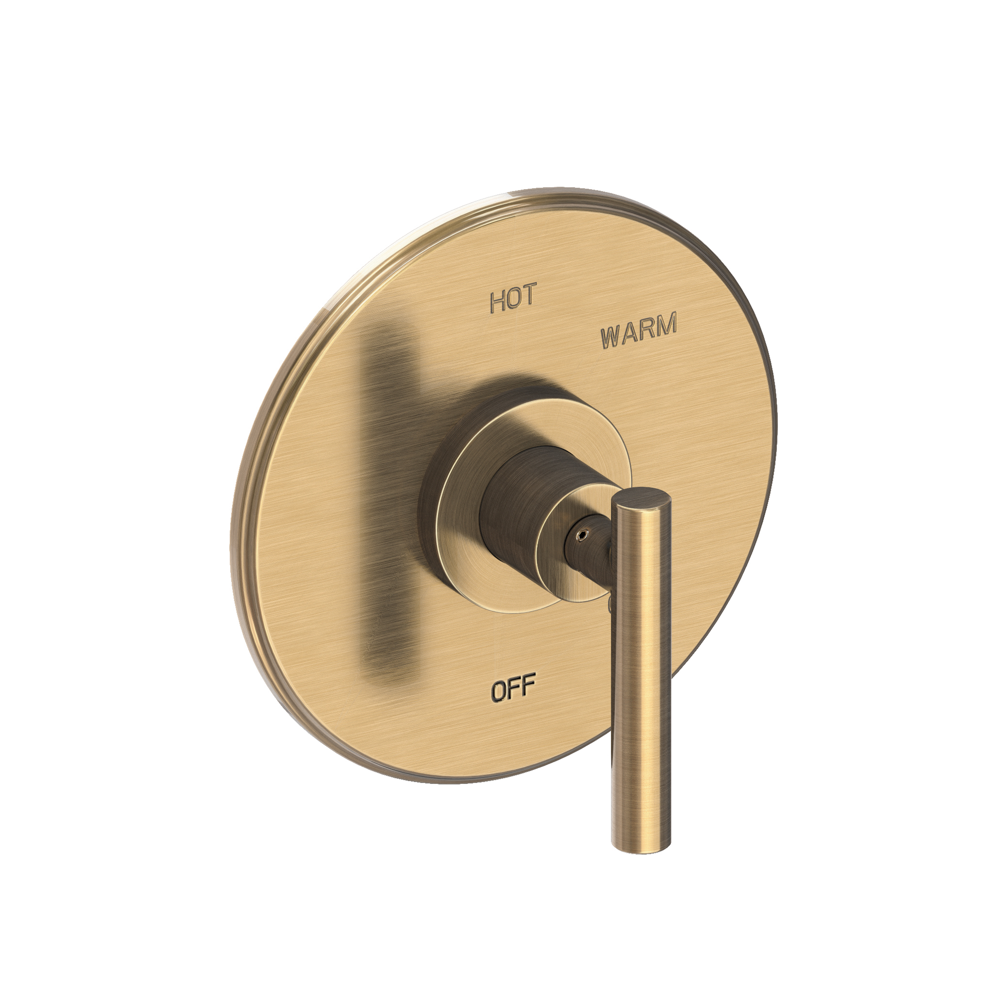 Newport Brass East Linear® Balanced Pressure Shower Trim Plate with Handle