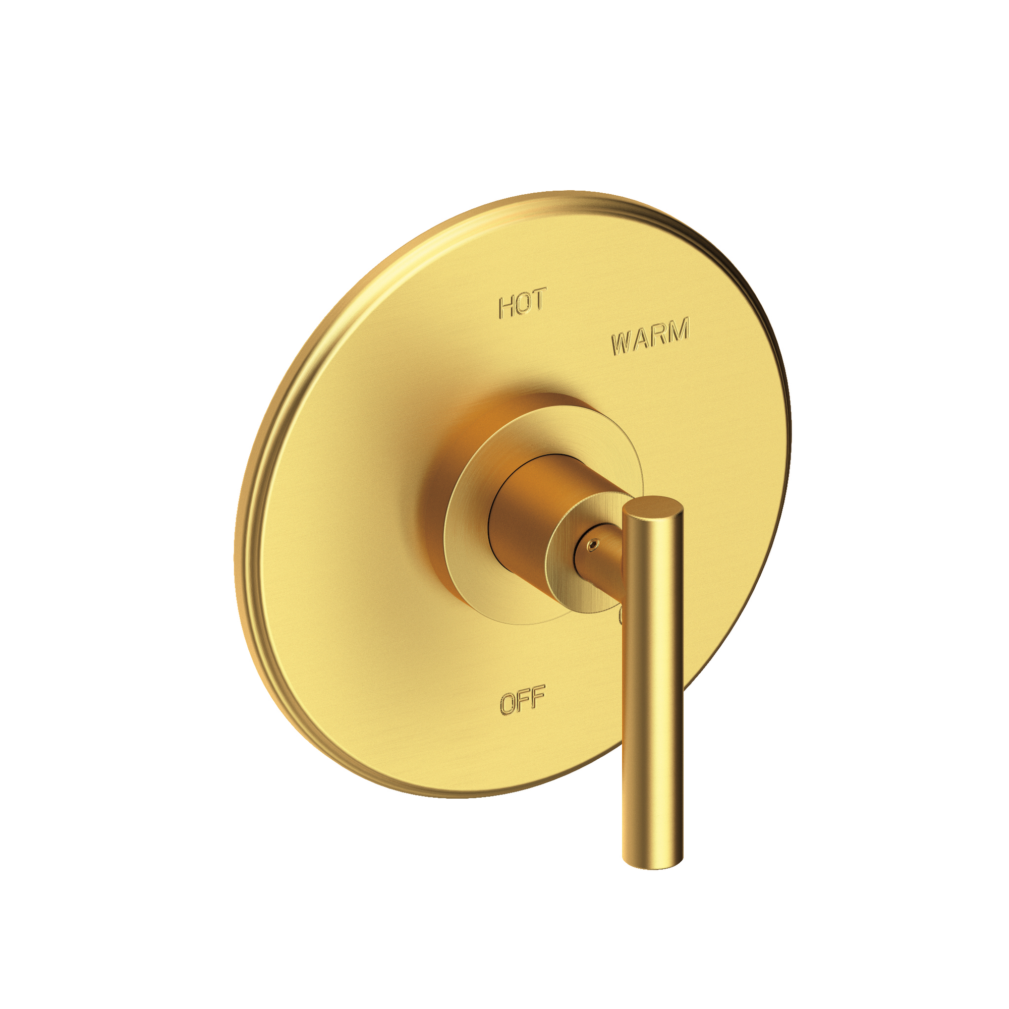 Newport Brass East Linear® Balanced Pressure Shower Trim Plate with Handle