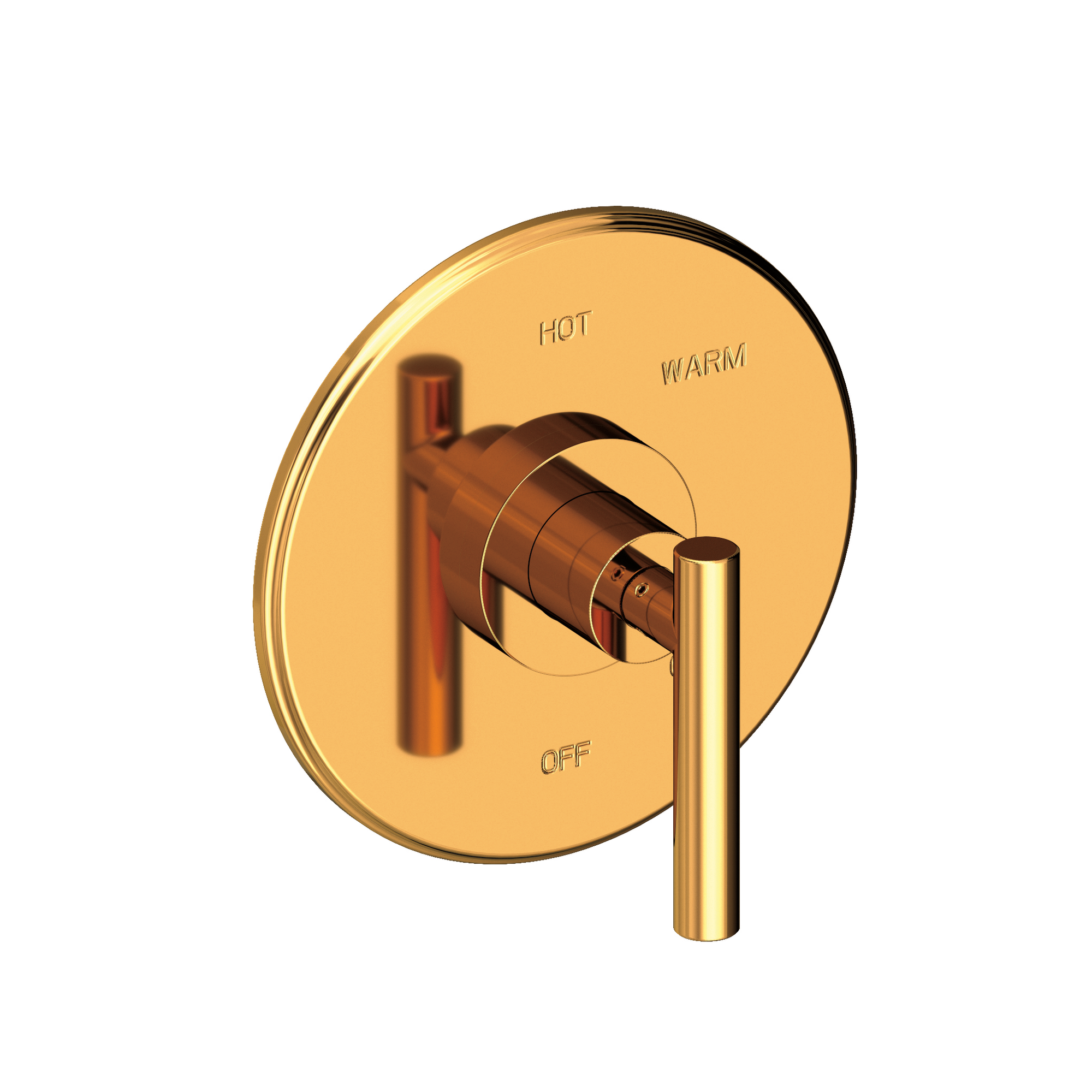 Newport Brass East Linear® Balanced Pressure Shower Trim Plate with Handle