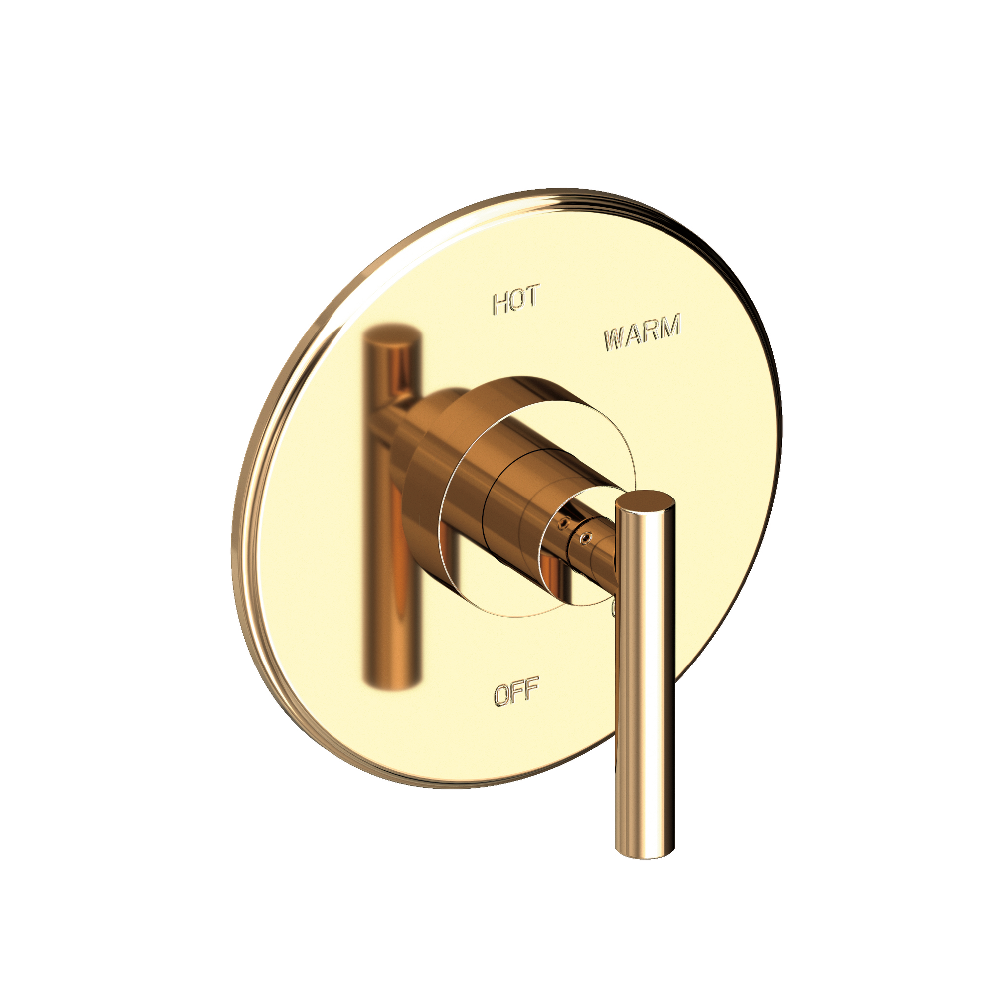 Newport Brass East Linear® Balanced Pressure Shower Trim Plate with Handle