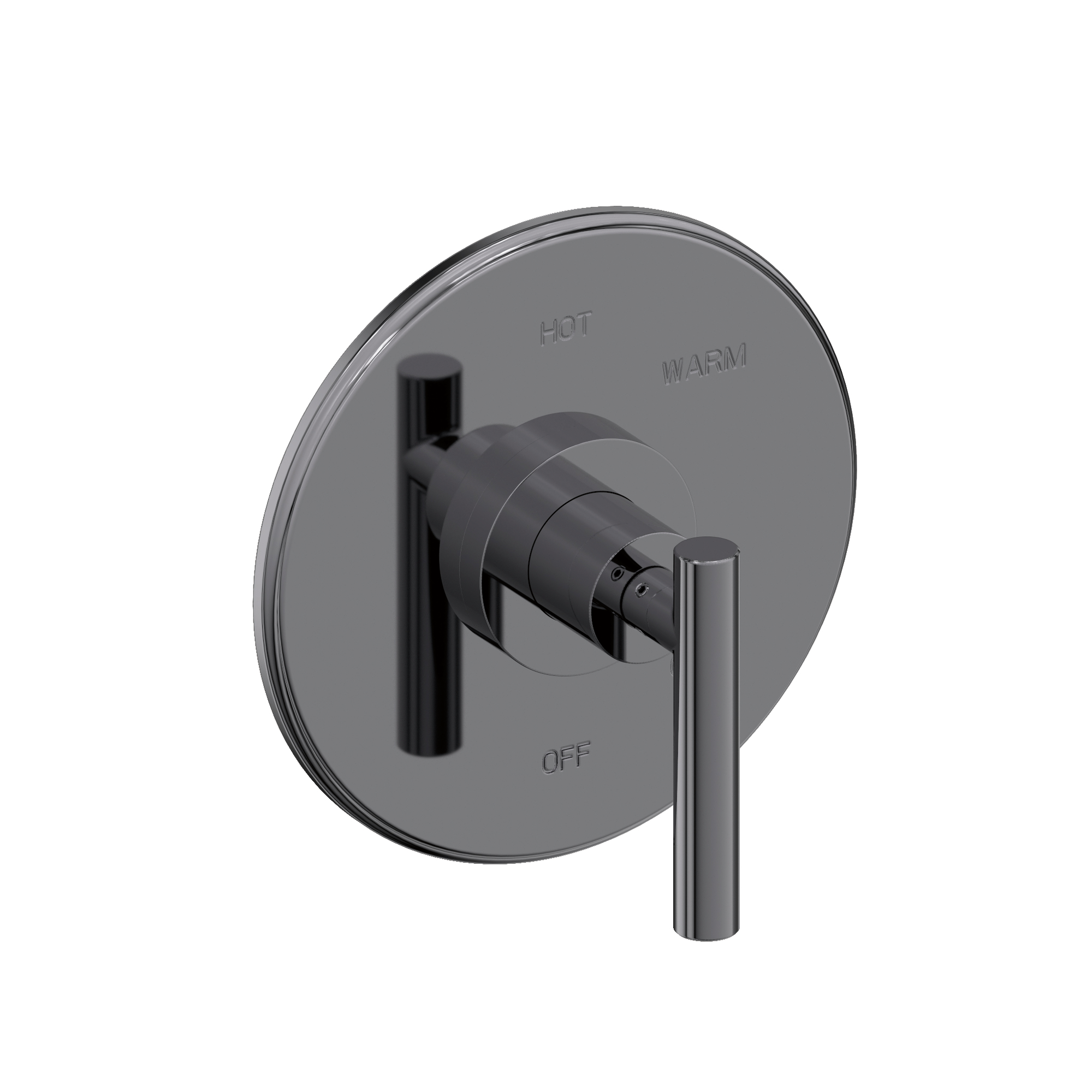 Newport Brass East Linear® Balanced Pressure Shower Trim Plate with Handle